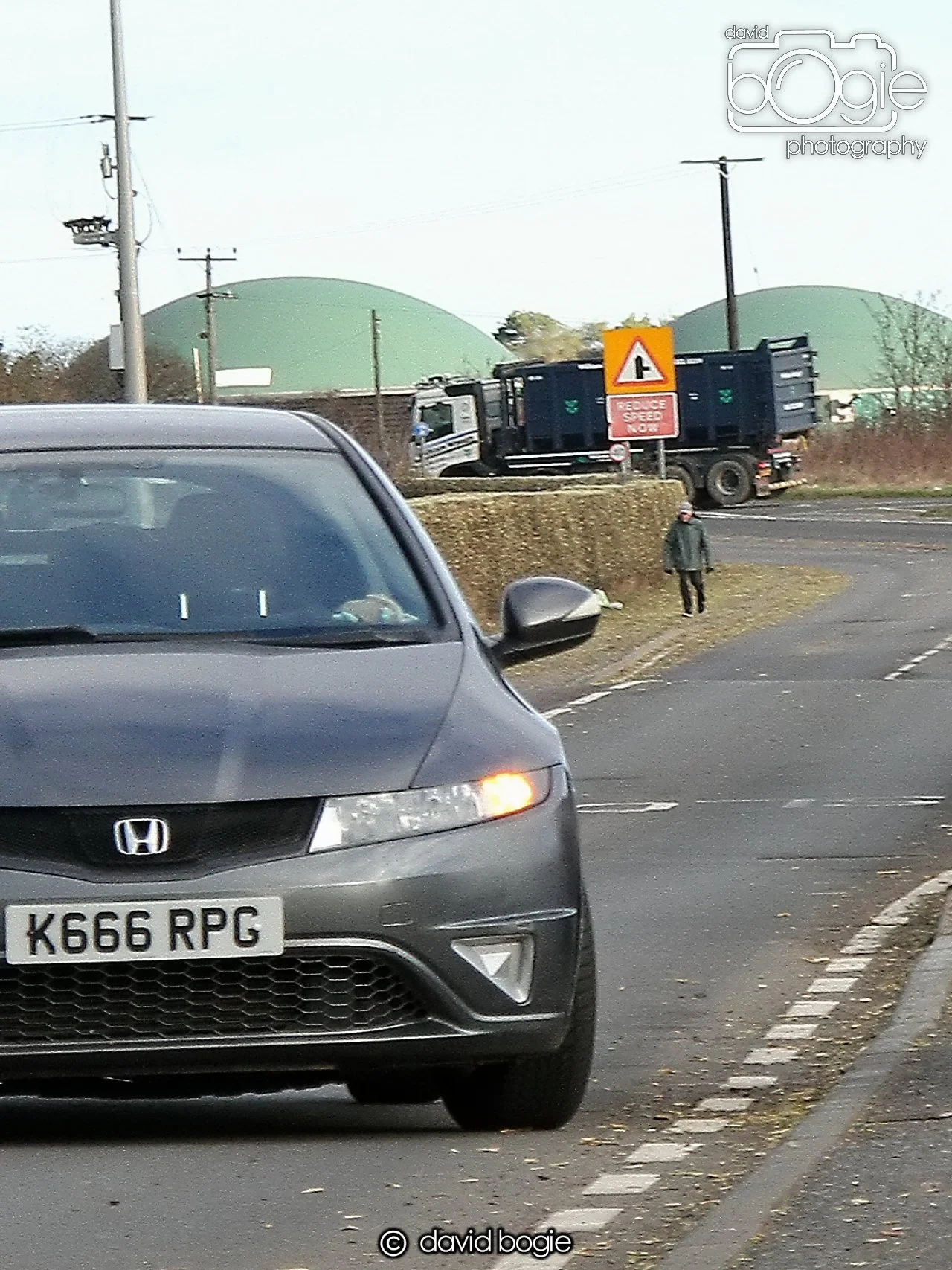 20250129 141020 Reekies 0270.JPG