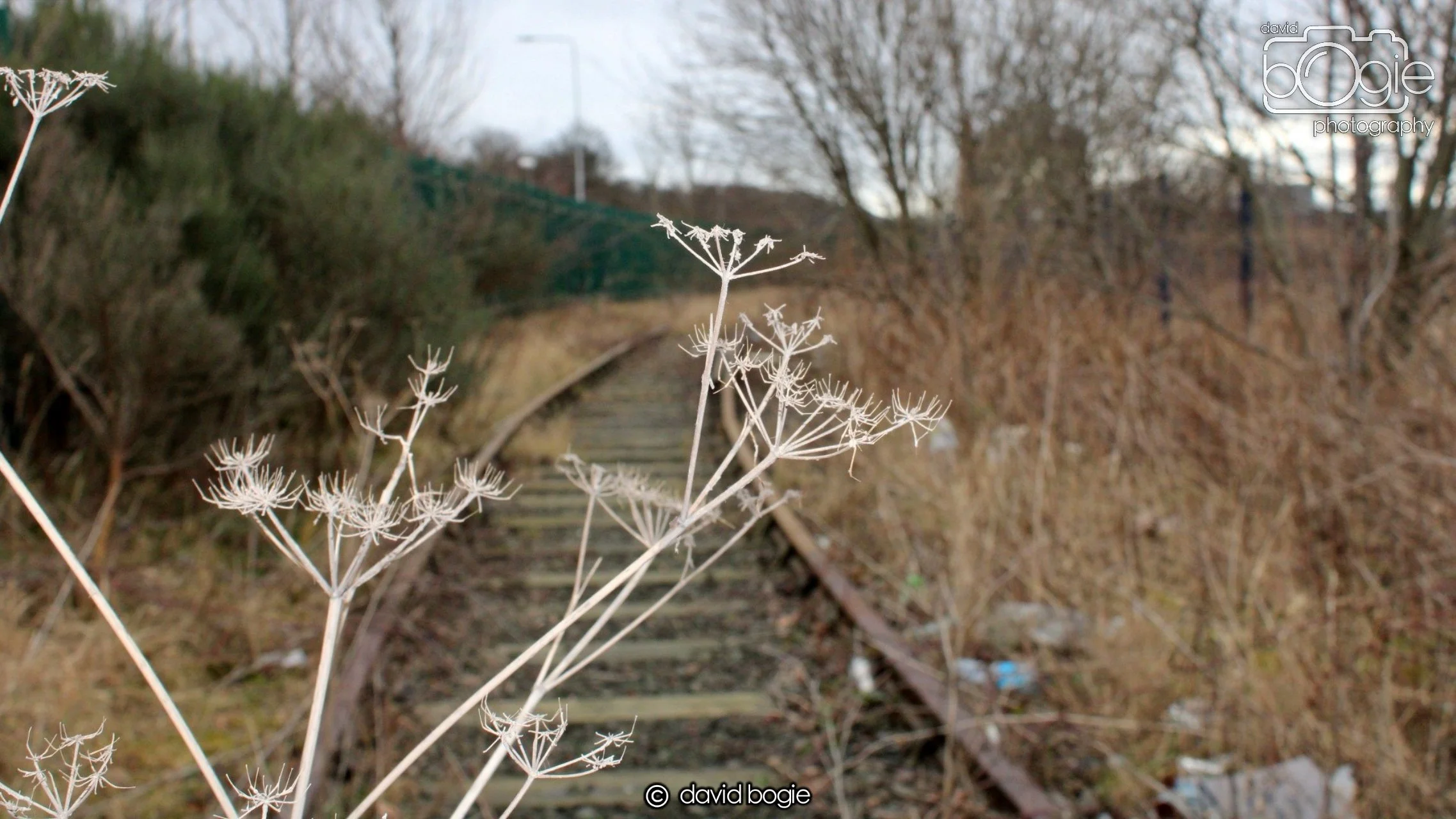 20190221 101514 Rosyth 0007.jpg