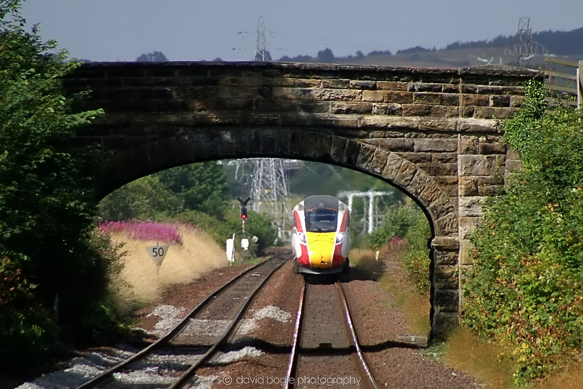 YEAR20240803 105304 Dalgety Bay  0088.jpg