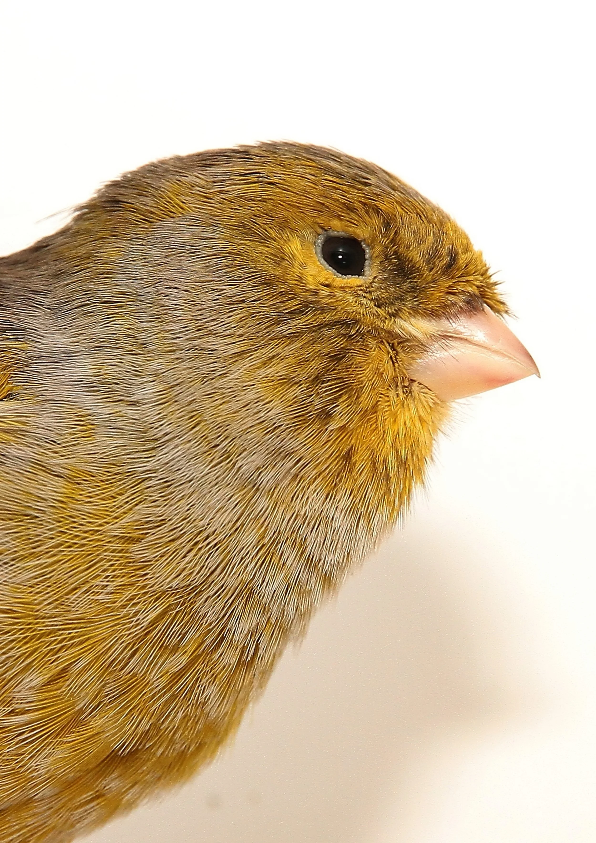 20260331 111626 K&S 0409.jpg