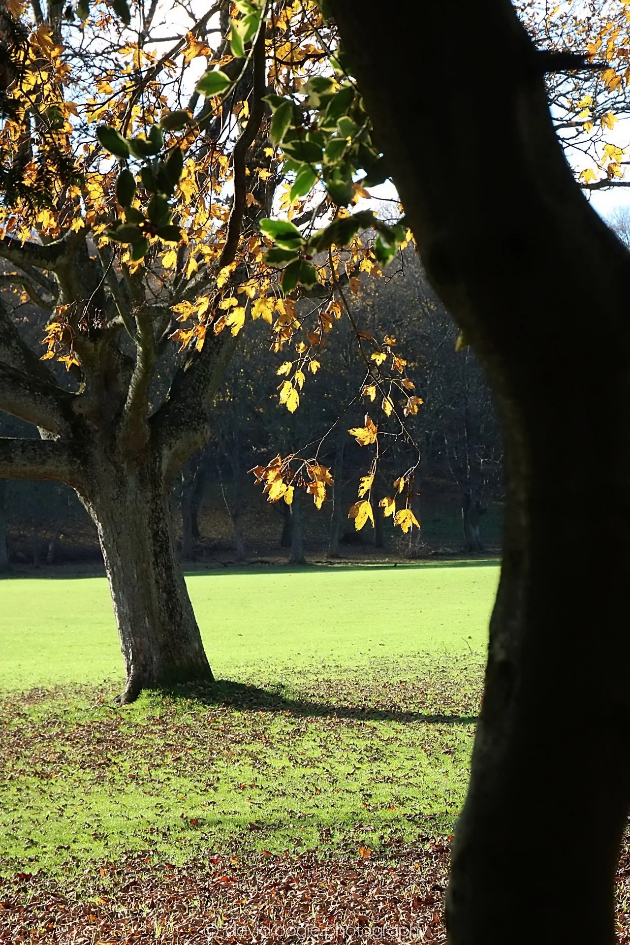 YEAR20231107 Beveridge Park 0385.jpg