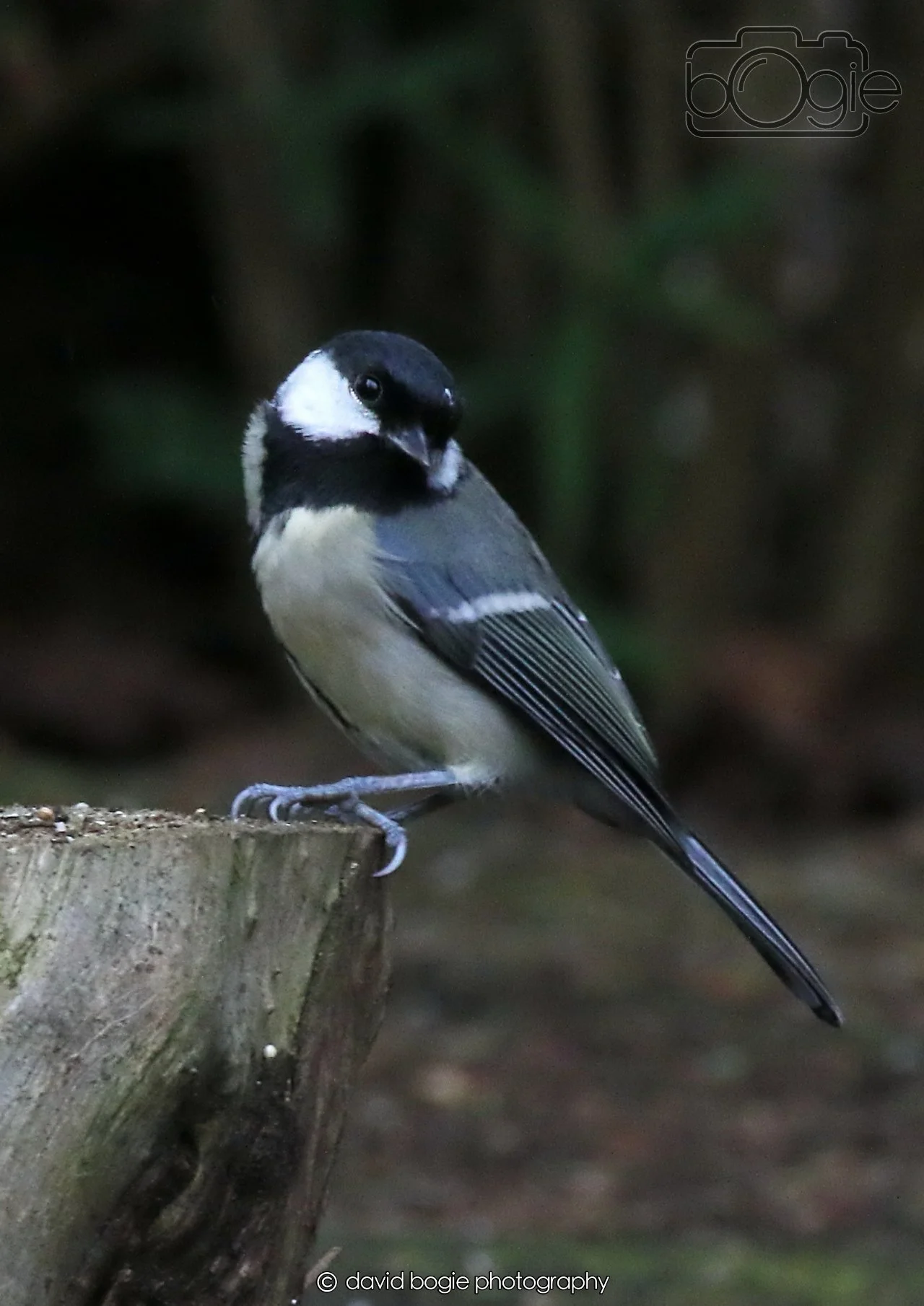 20260403 130106 Dunnikier 0264.jpg