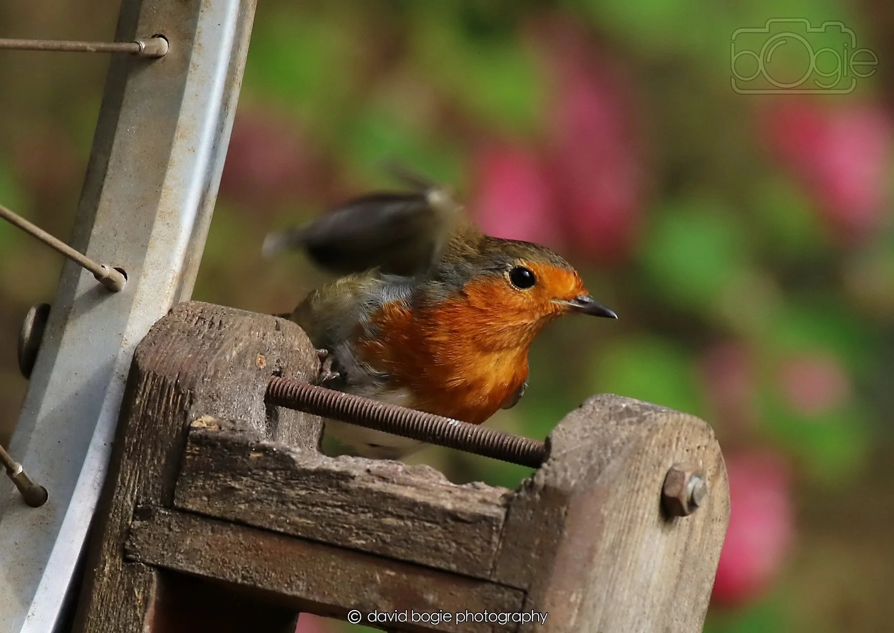 20260326 120943 Silverburn 0455.jpg