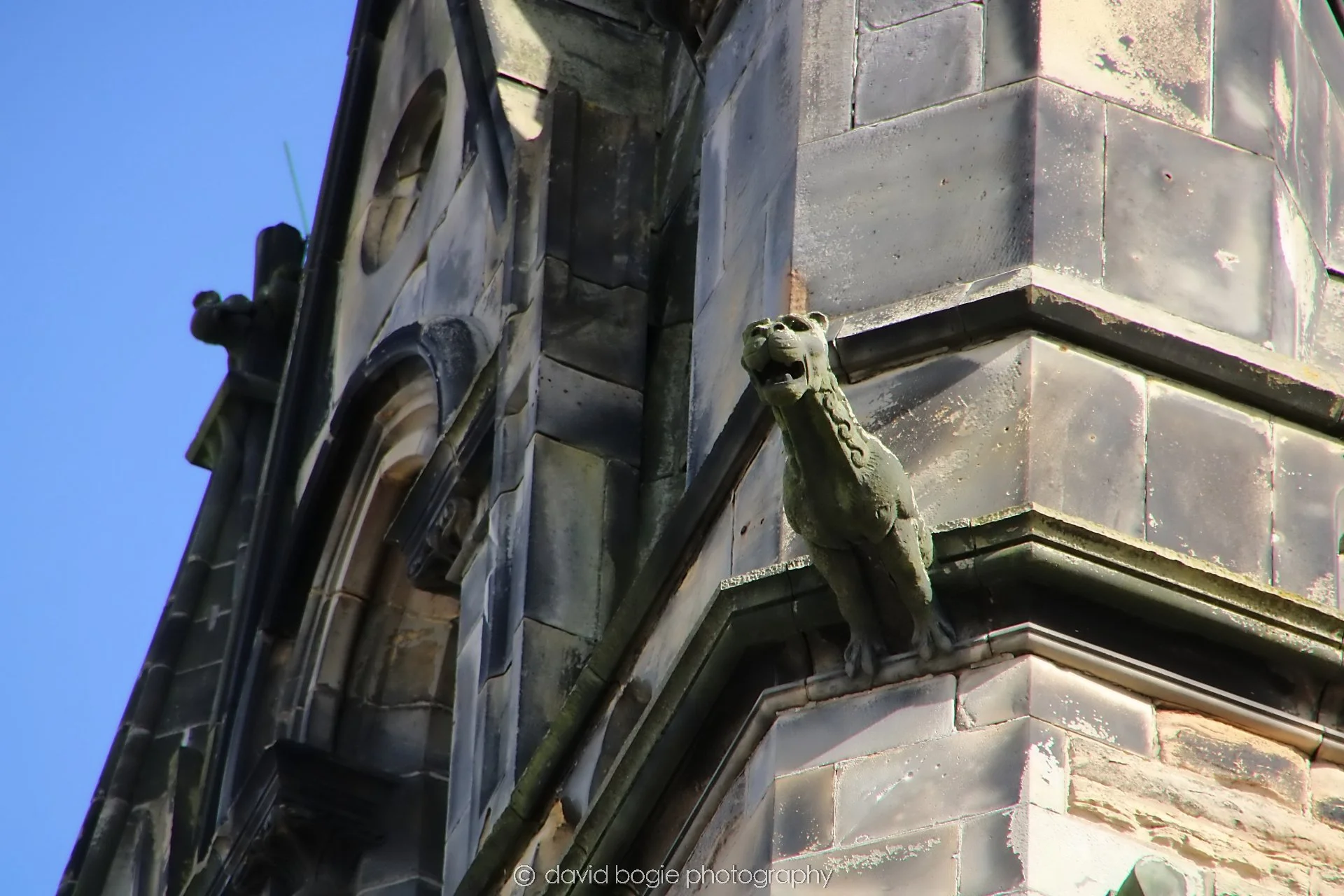 YEAR20240318 KIRKCALDY 0107.jpg