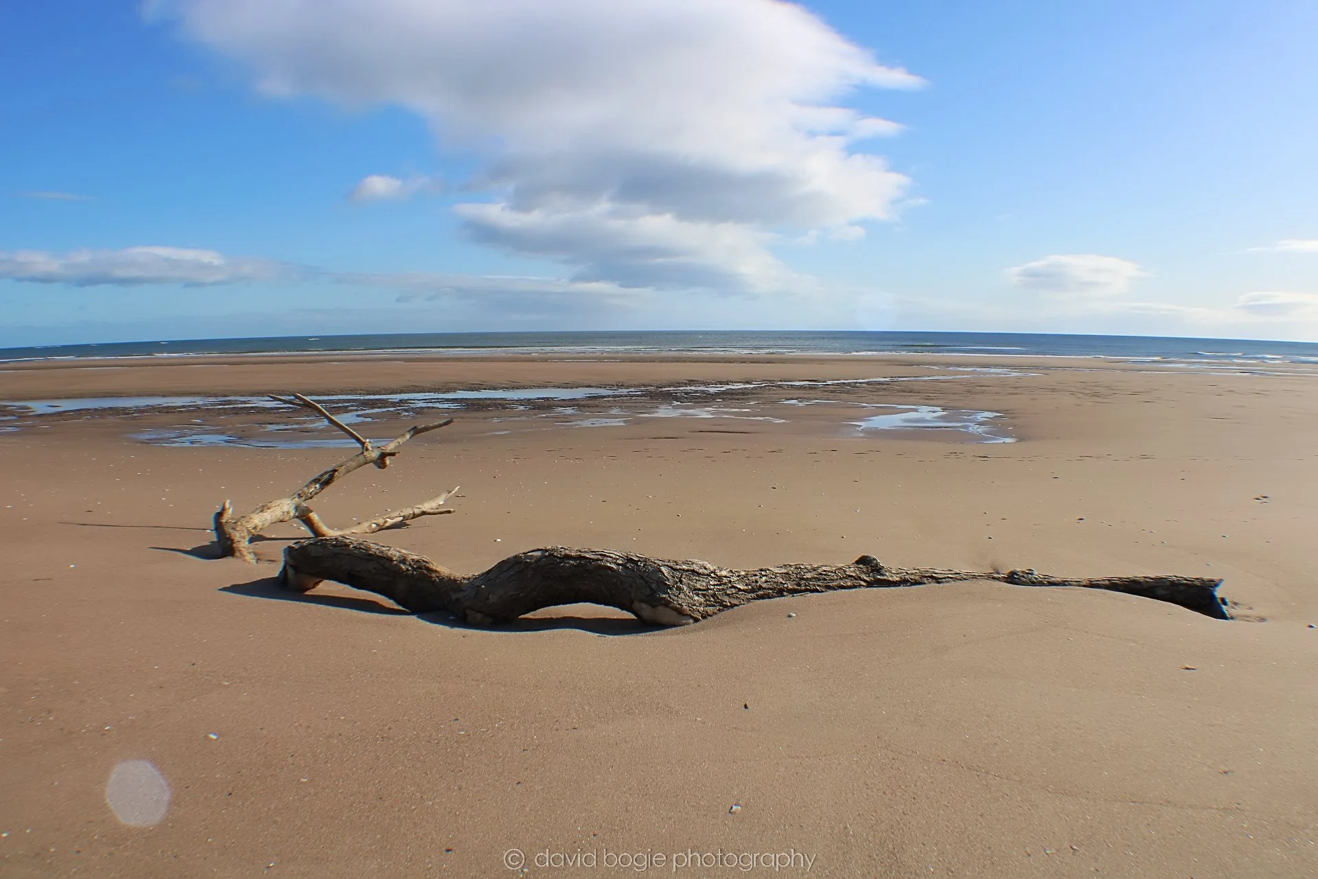 20191002 112222 Tentsmuir 0001.jpg