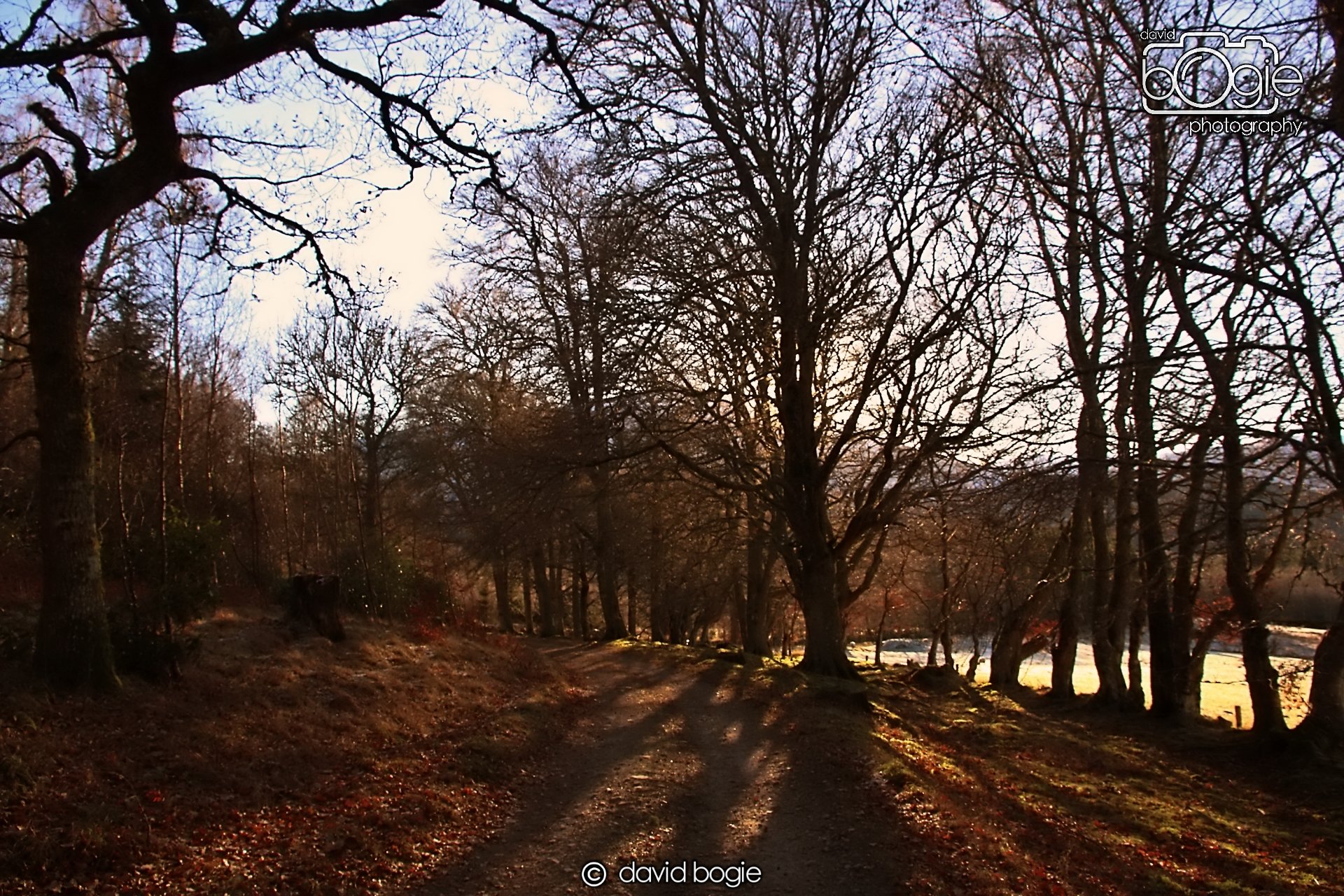 20221215 00071 Aberfeldy.JPG