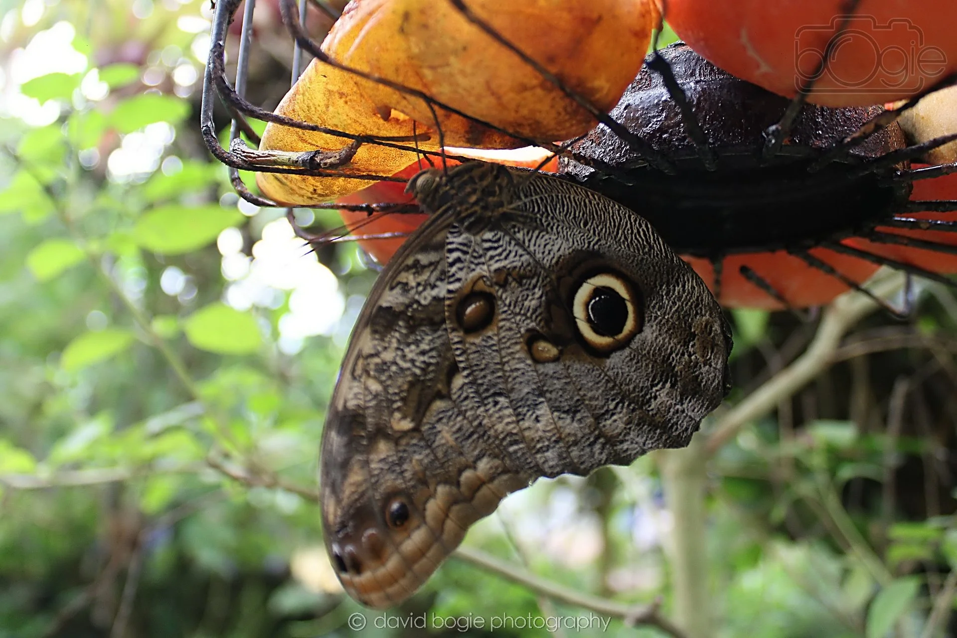 20191019 130015 Butterfly World 0033.jpg