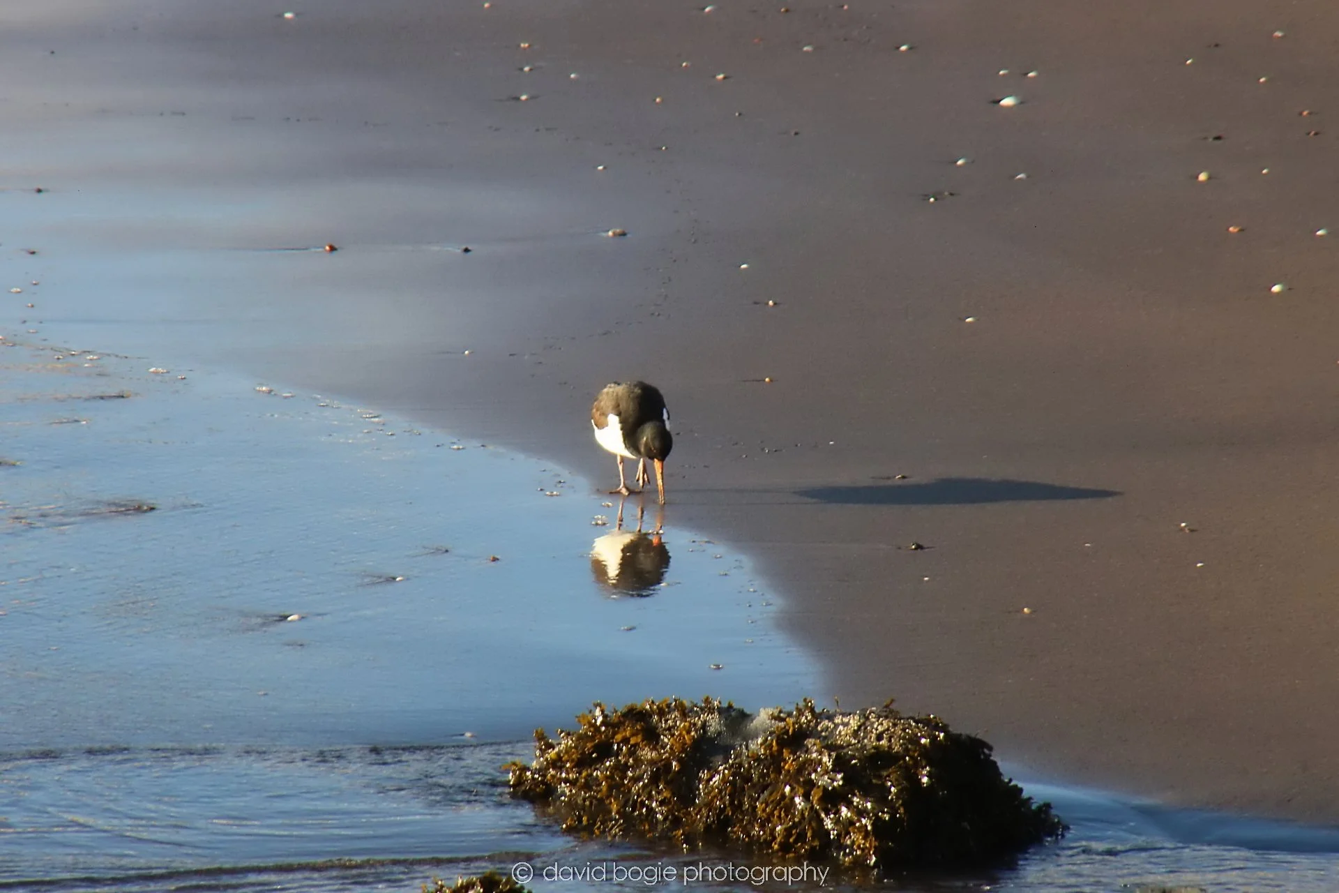 YEAR20231206 121528 Kirkcaldy 0162.jpg
