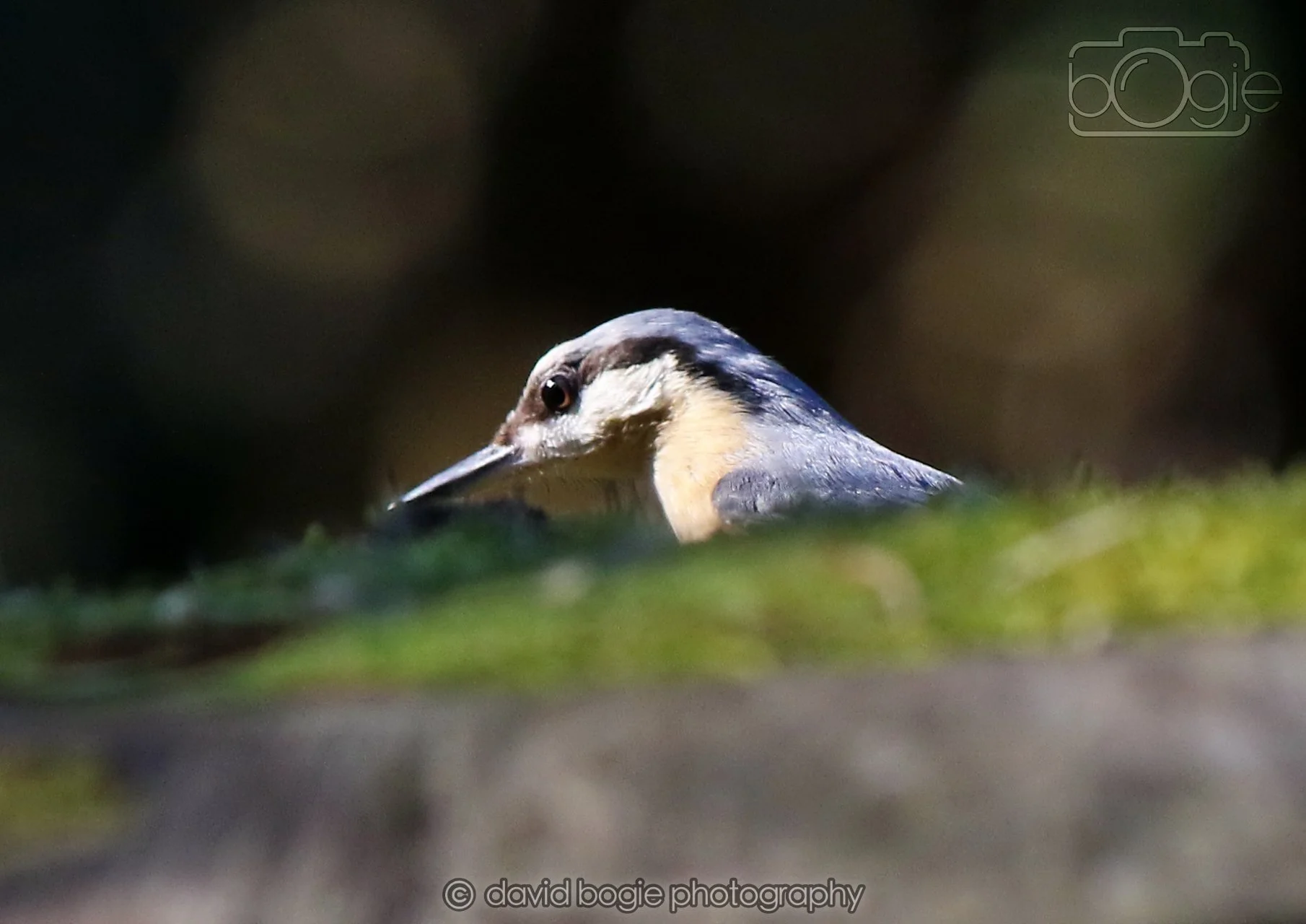 20260320 142054 Ravenscraig 0219.jpg