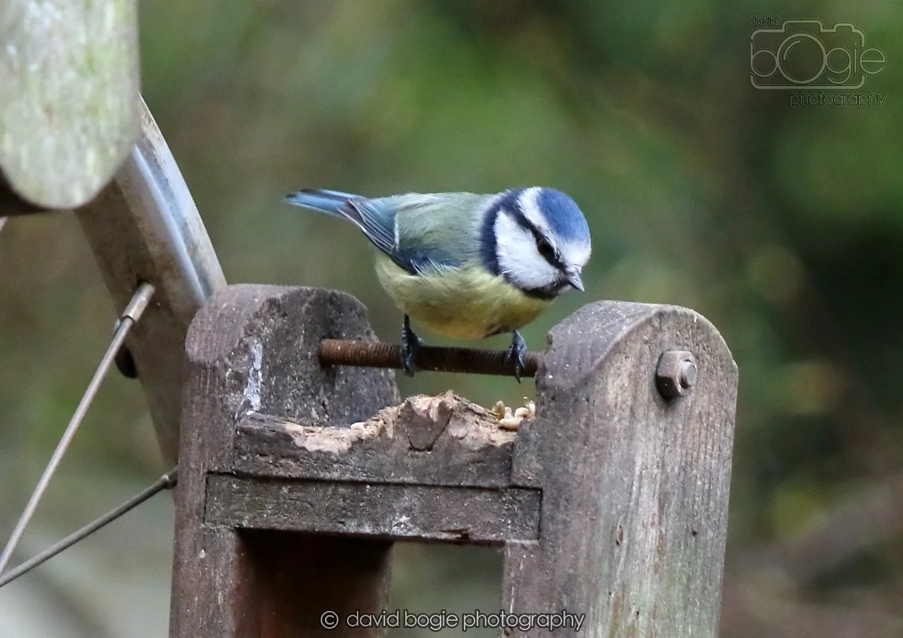 20260215 131753 Silverburn 0073.jpg