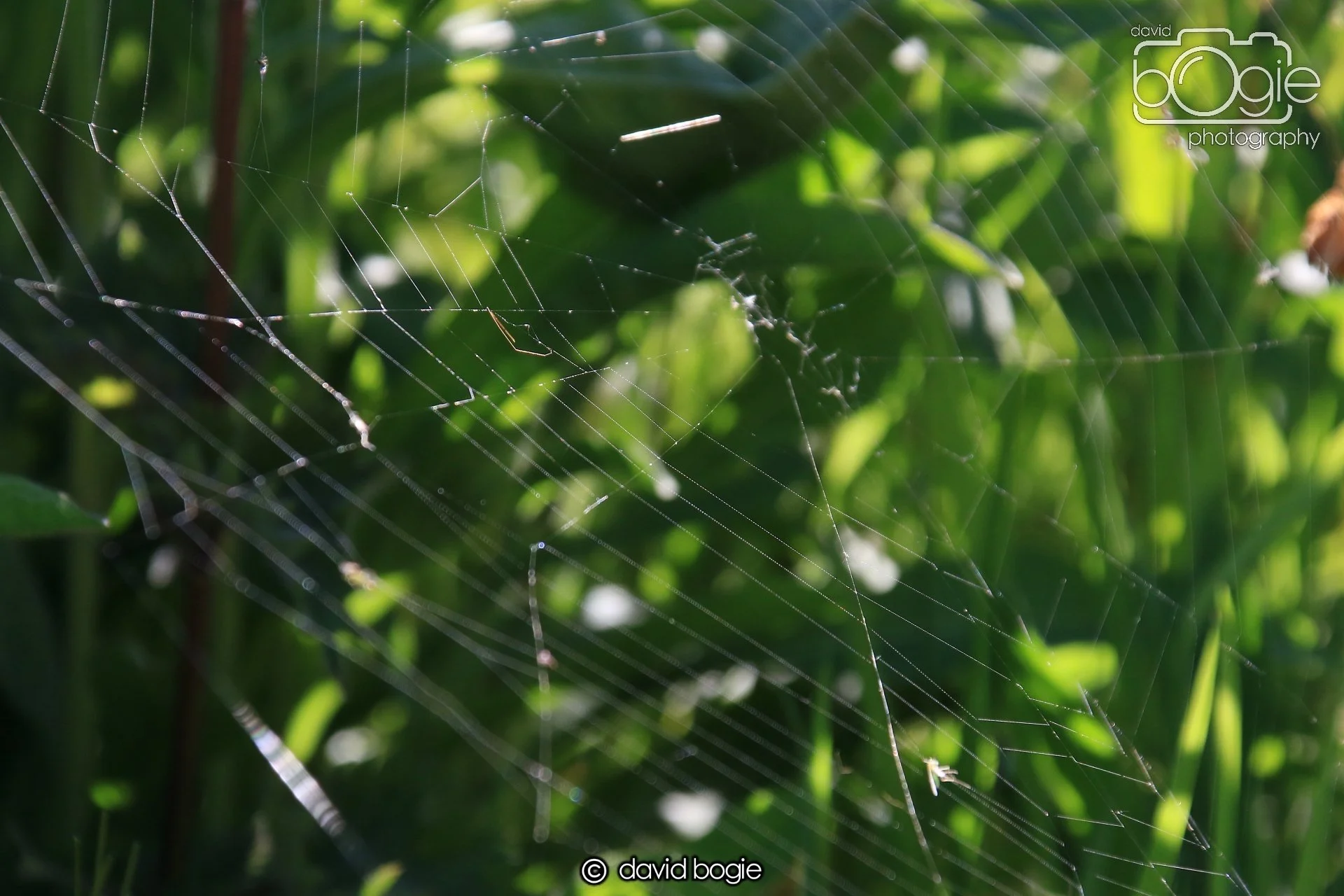 20250517 134718 Beveridge Park 0671.JPG