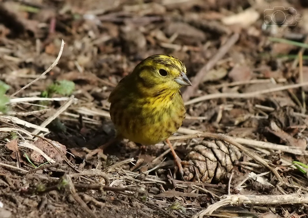 20260314 143750 Silverburn 0324.jpg