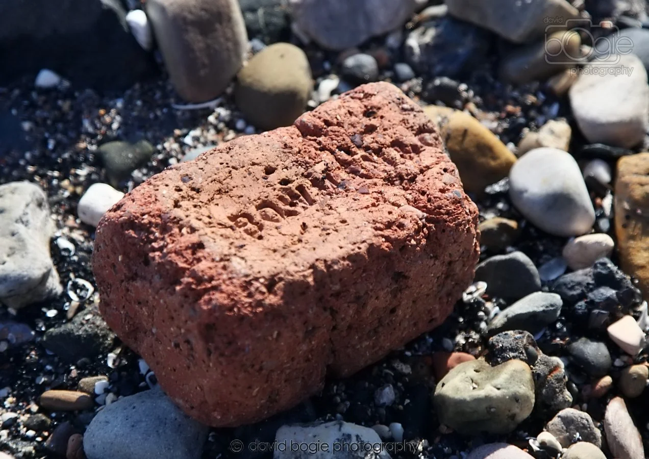 20260307 115247 Kirkcaldy 0042.jpg