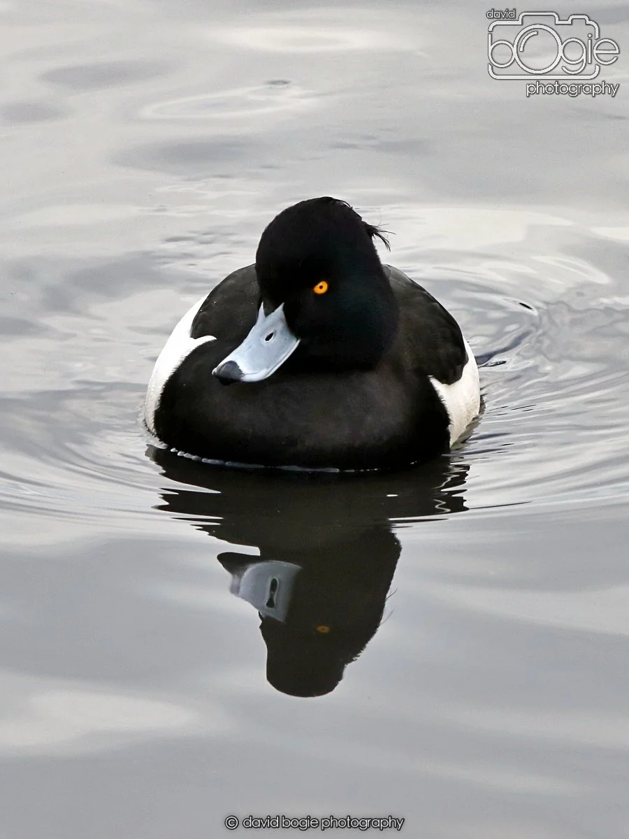 20260114 124811 Beveridge Park 0144.JPG