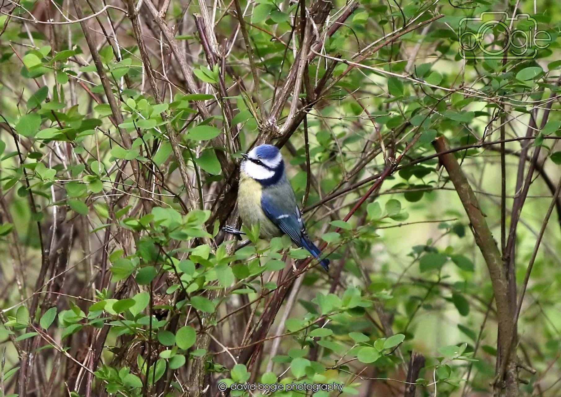 20260330 122055 Dunnikier 0416.jpg