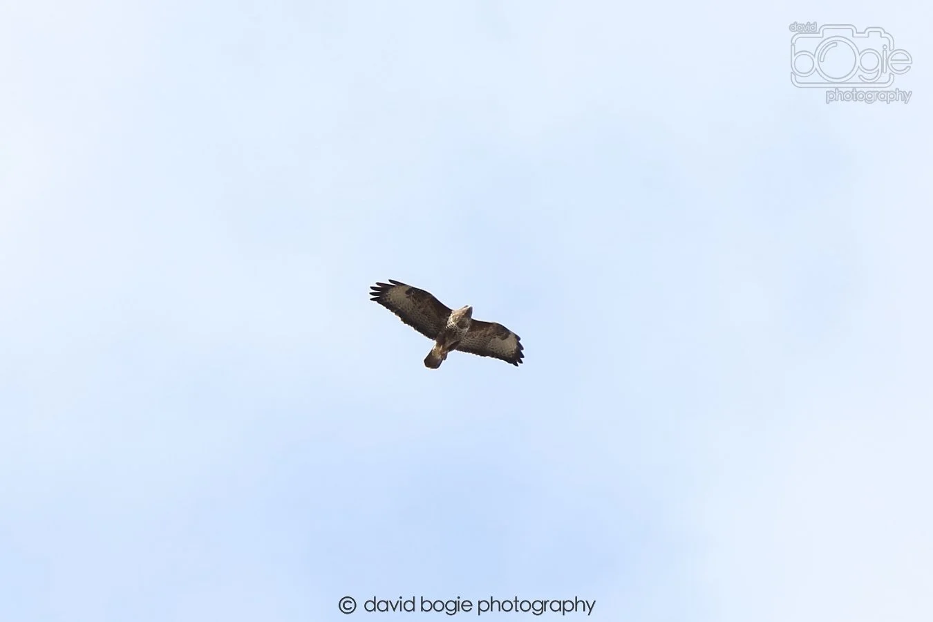 20260308 141241 Dunnikier 0021.jpg