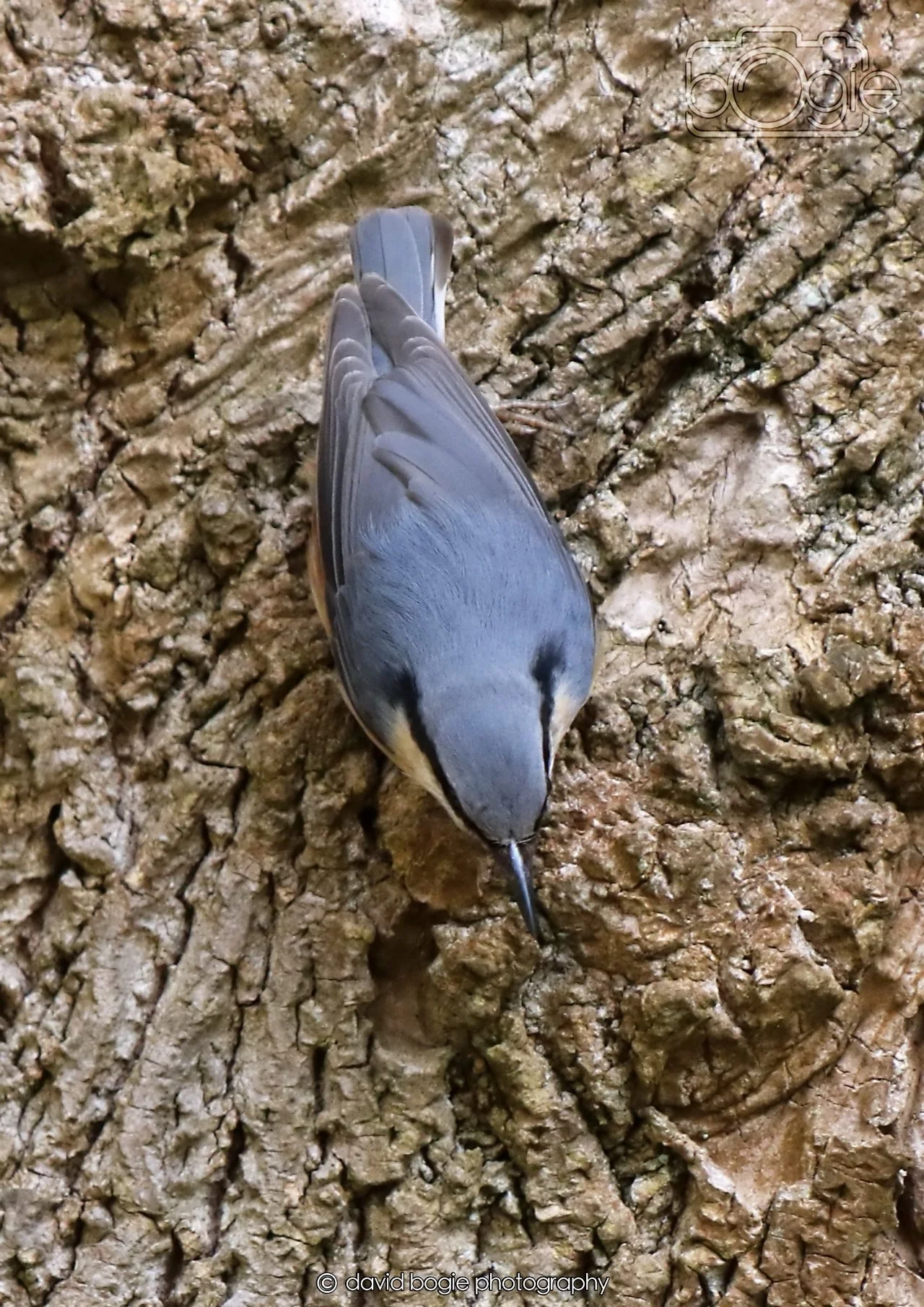 20260330 115522 Dunnikier 0284.jpg