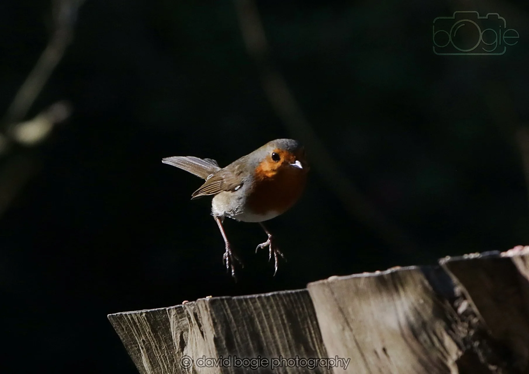 20260320 152419 Ravenscraig 0510.jpg