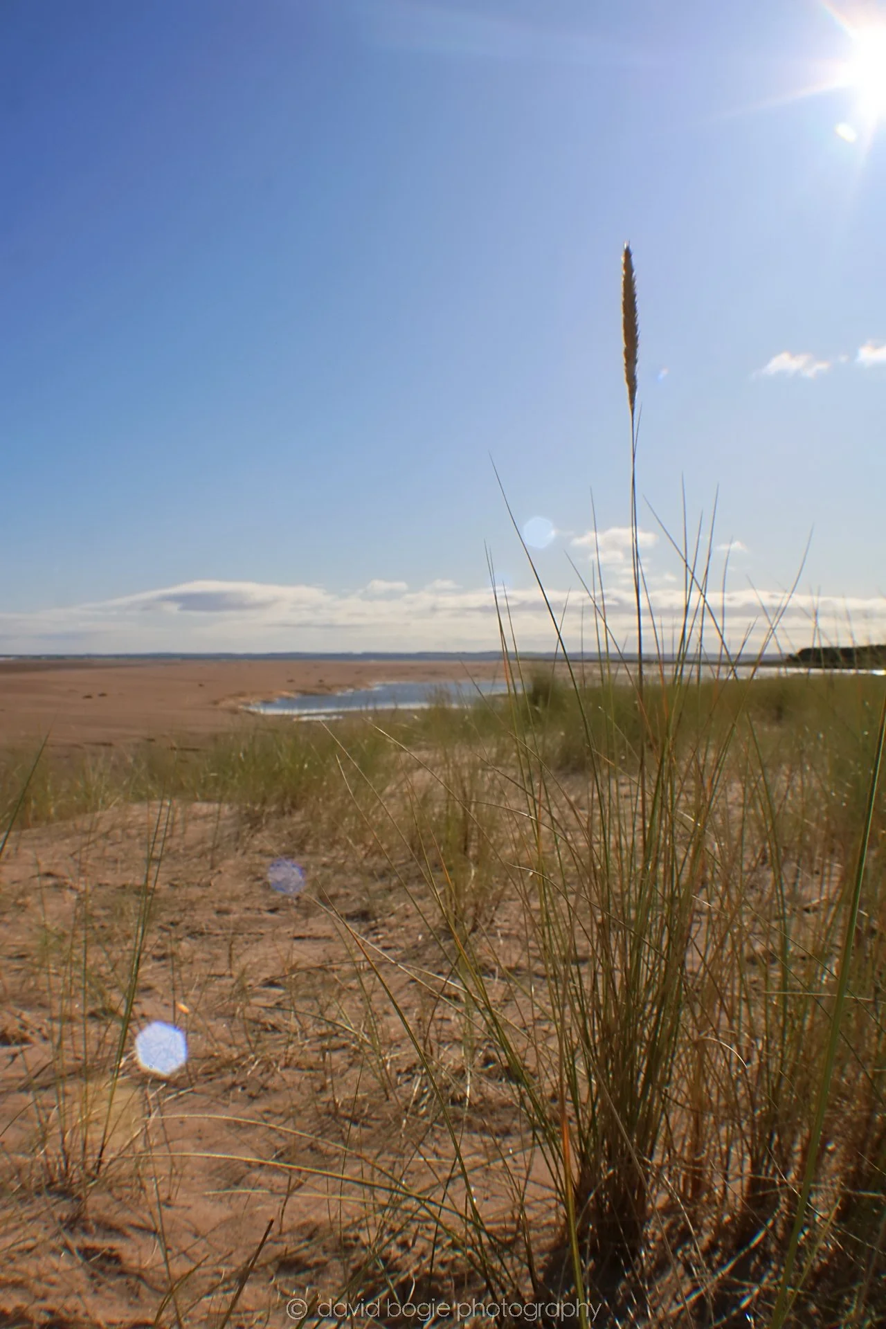 20191002 132655 Tentsmuir 0018.jpg
