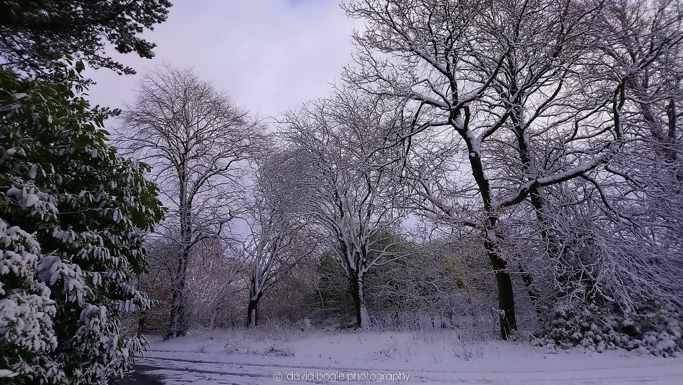 YEAR20180116 114222 Bangour Village .jpg