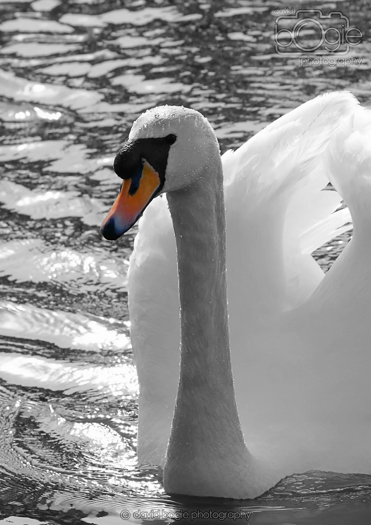 20260319 131935 Beveridge Park 0402.jpg