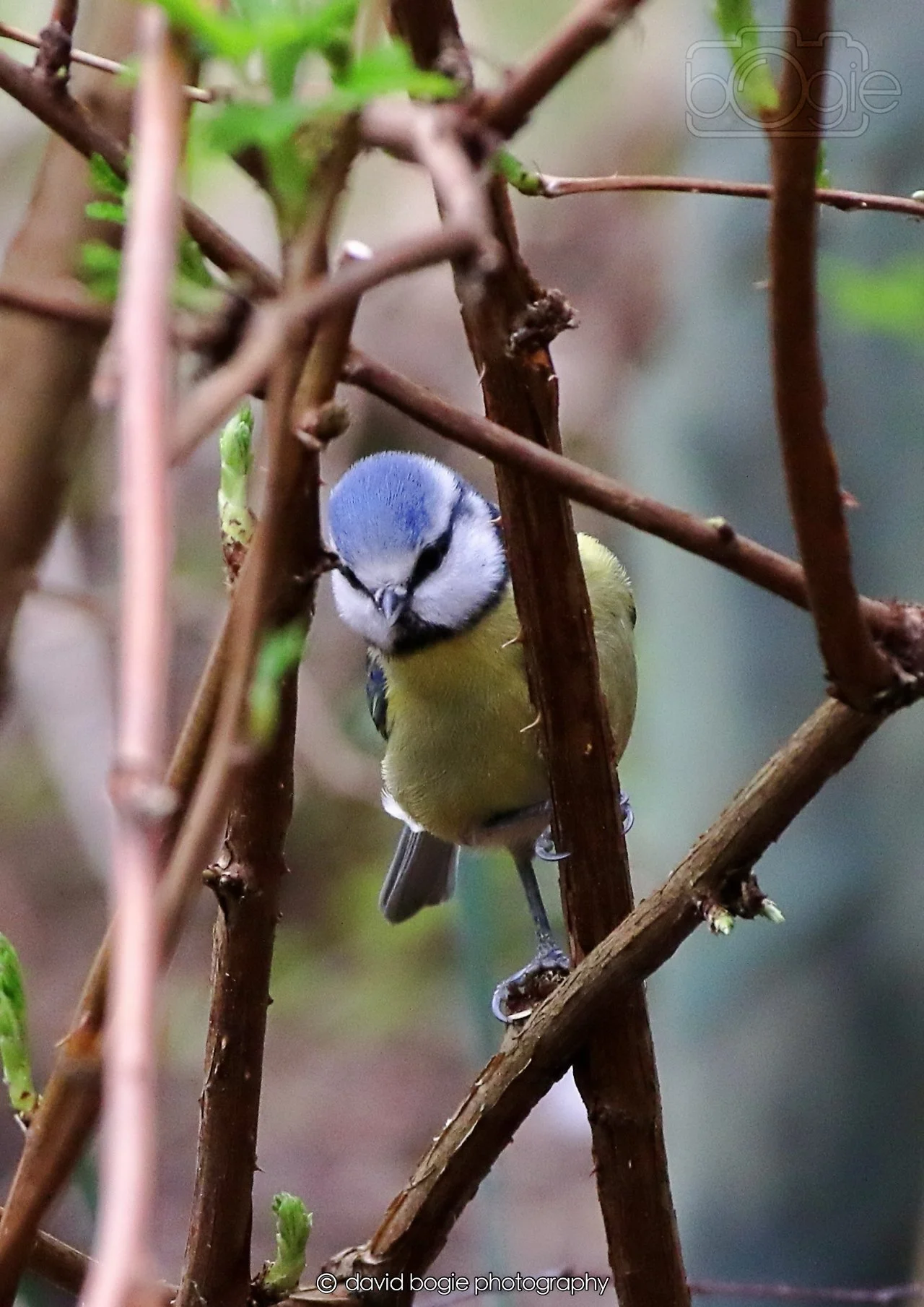 20260326 111859 Silverburn 0030.jpg