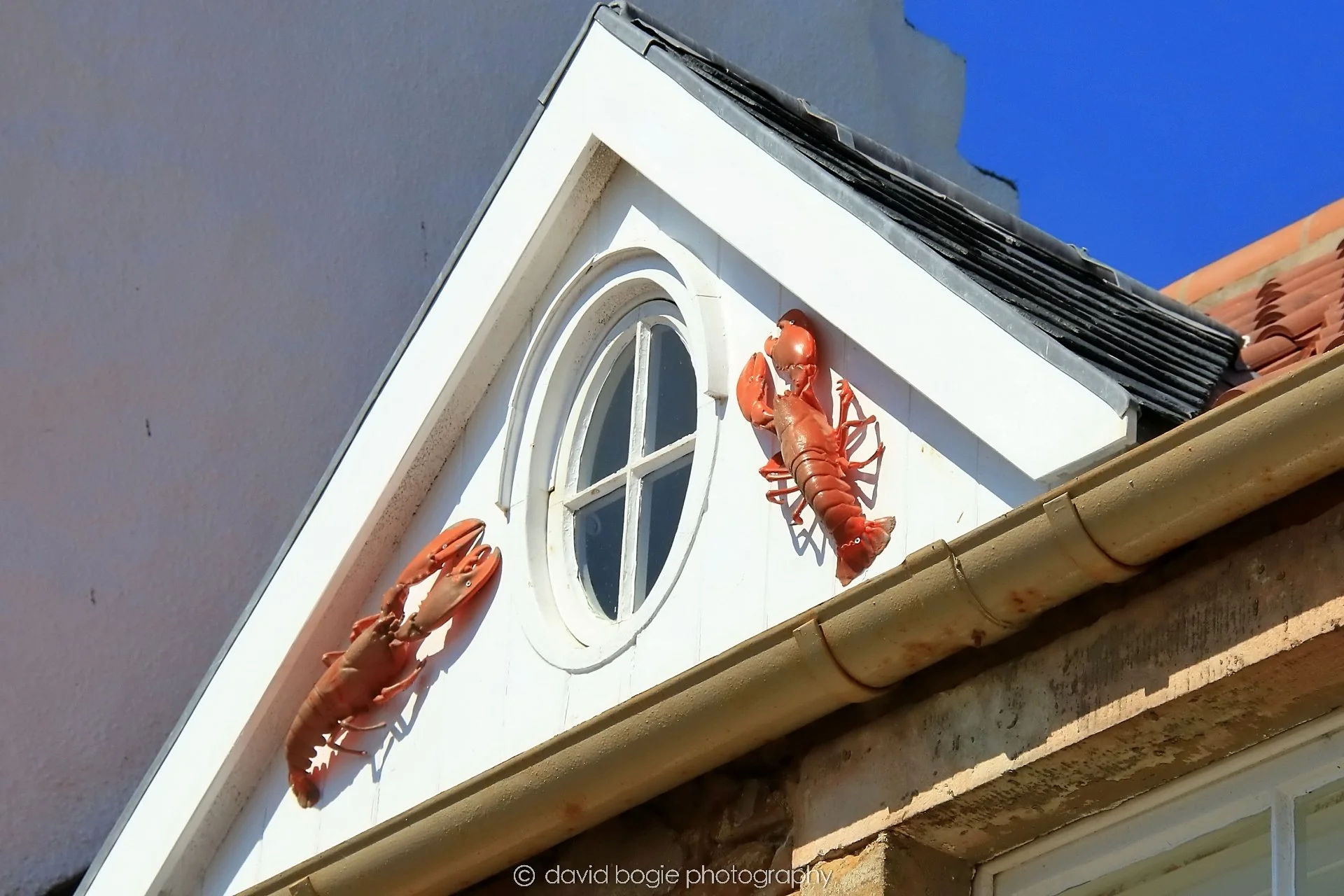 YEAR20250509 115140 Crail 0175.jpg