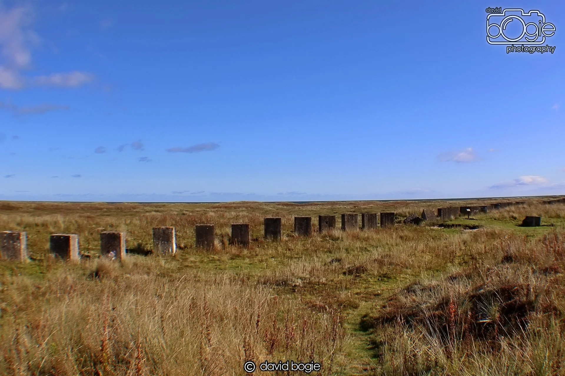 20191002 135526 Tentsmuir 0022.jpg