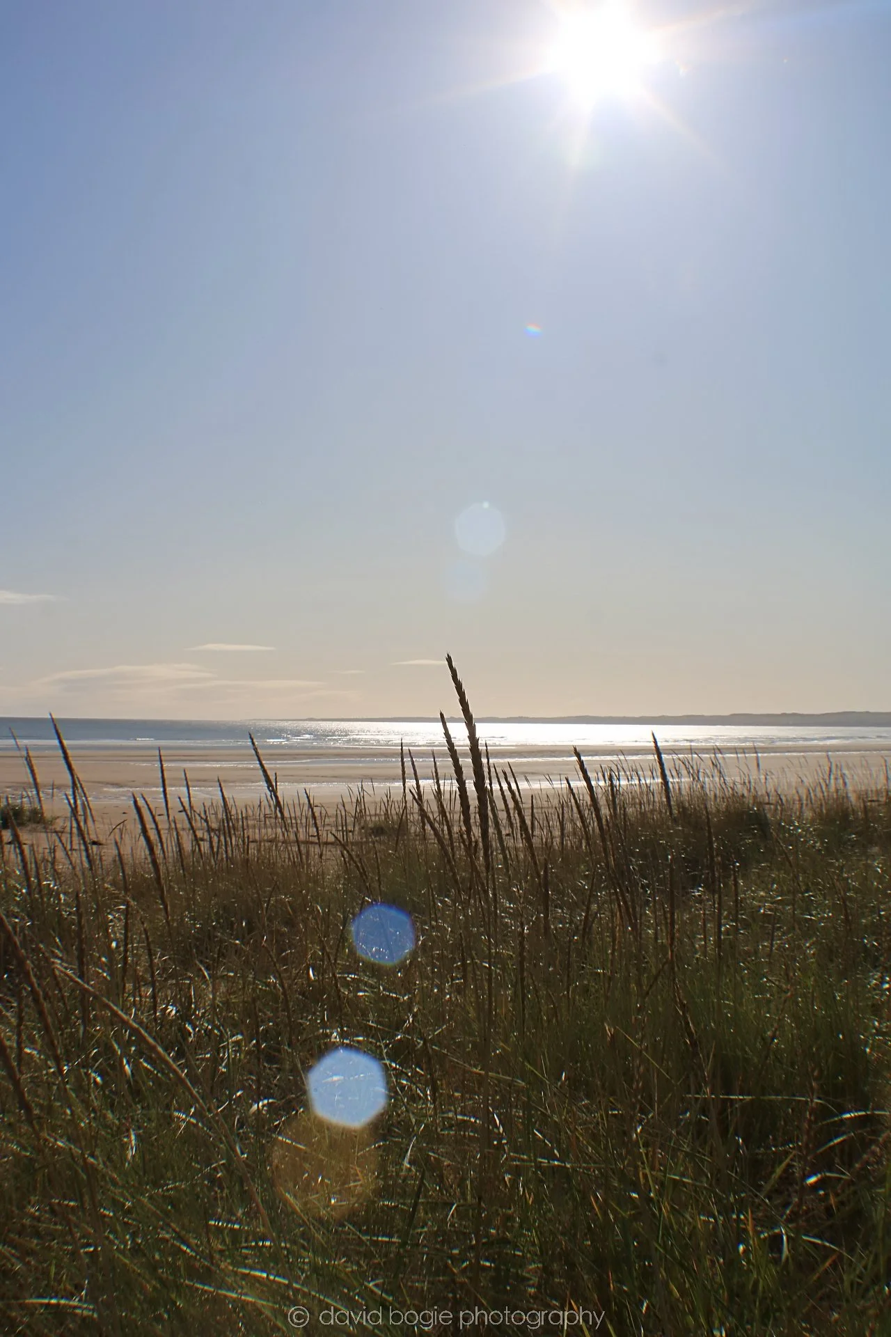 20191002 111917 Tentsmuir 0052.jpg