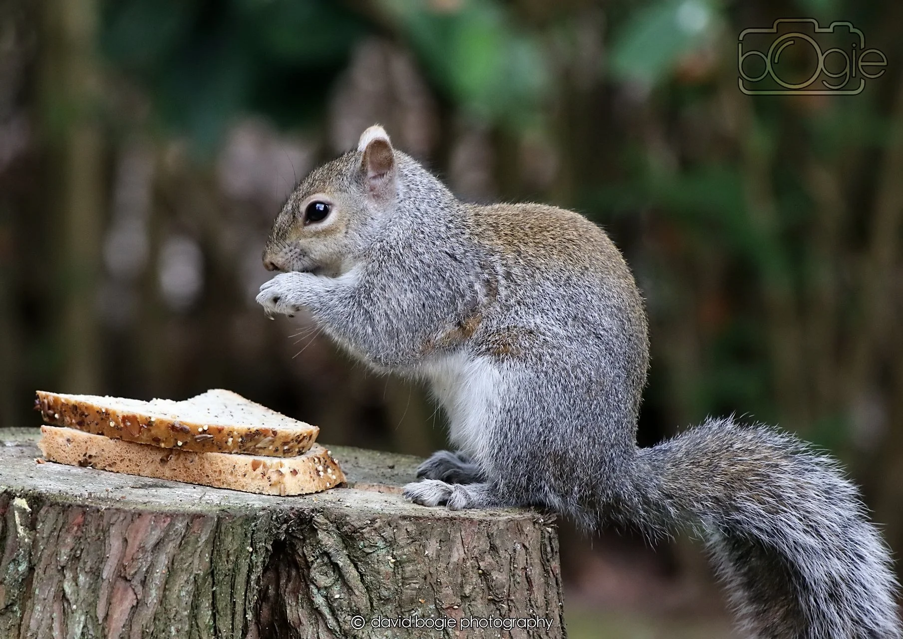 20260330 112726 Dunnikier 0188.jpg