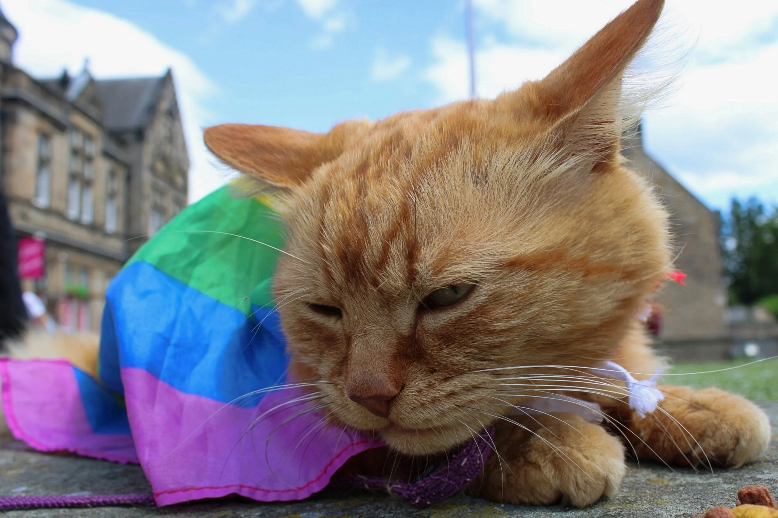 20190706 Pride (1).jpg