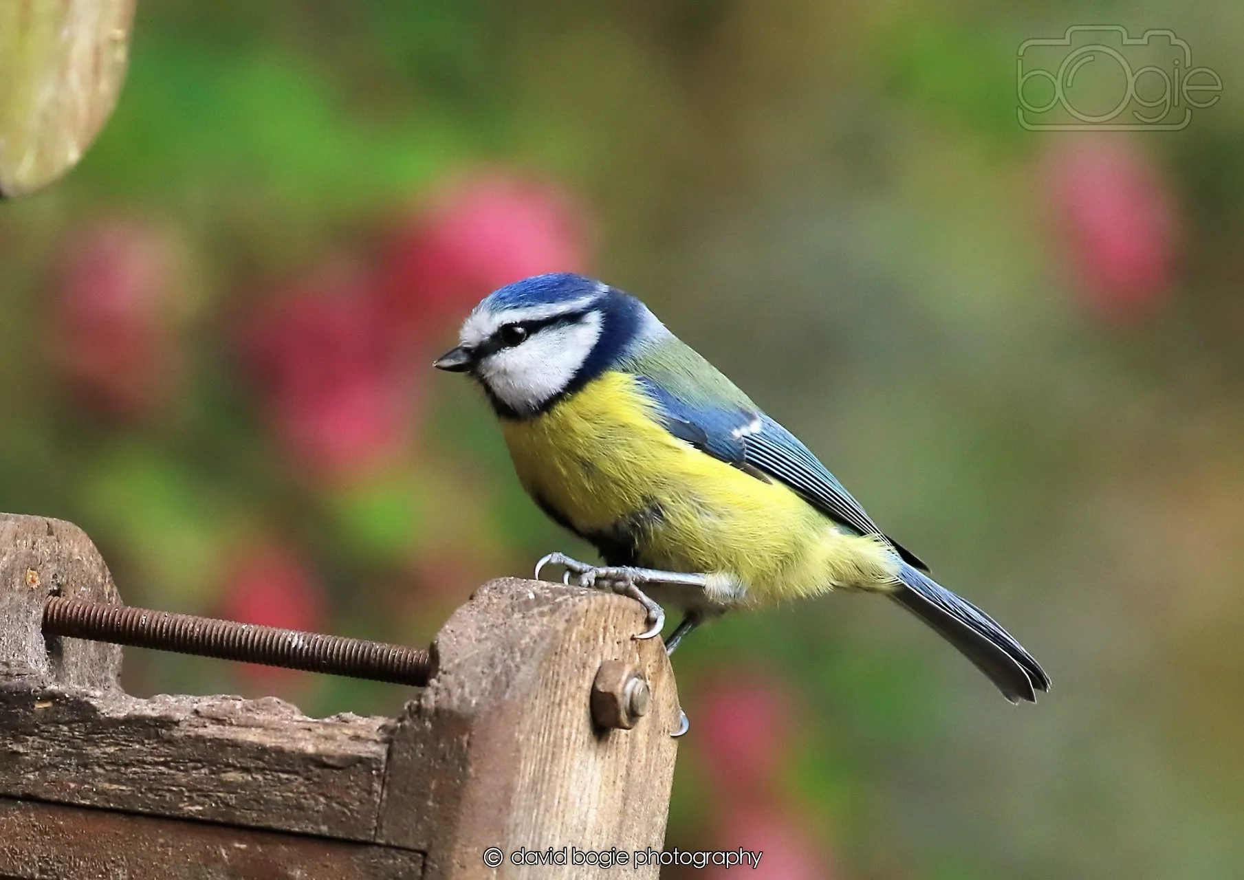 20260326 121205 Silverburn 0458.jpg