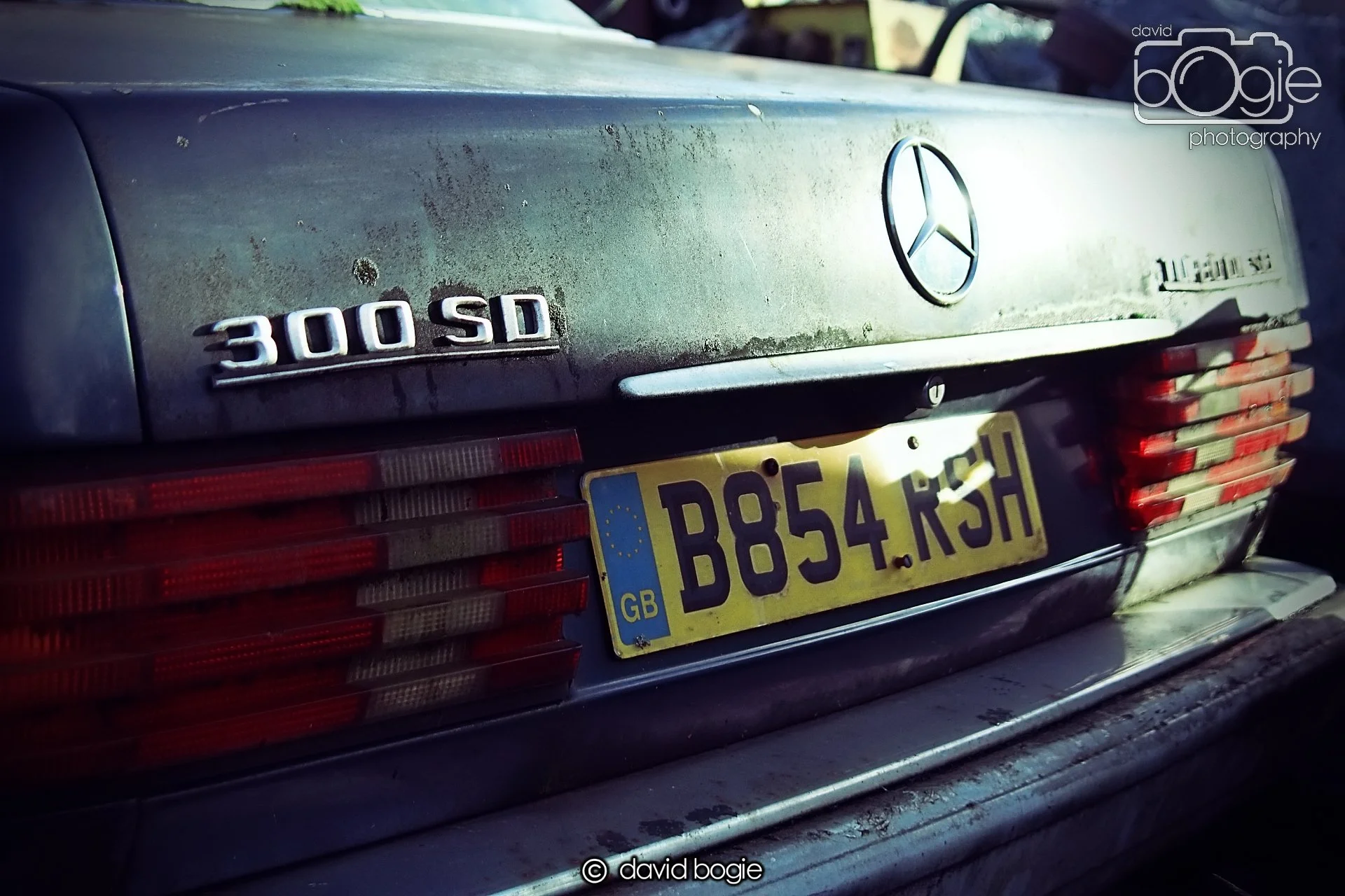 20221208 Reekies 00011 .JPG