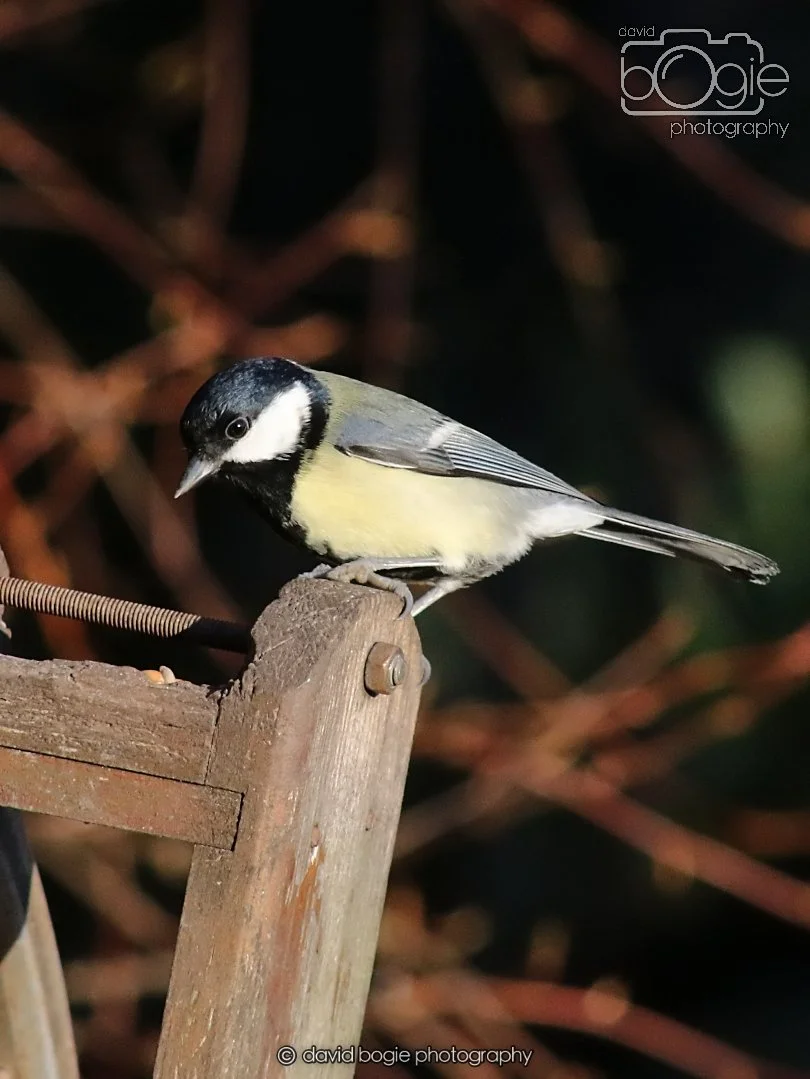 20251231 134010 Silverburn 0165.JPG