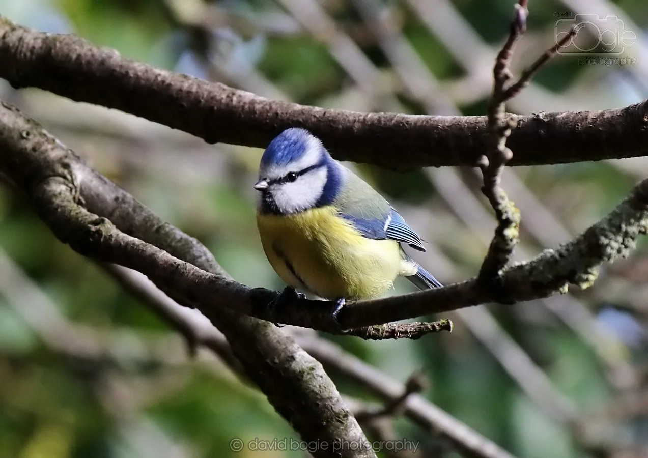 20260314 142814 Silverburn 0256.jpg