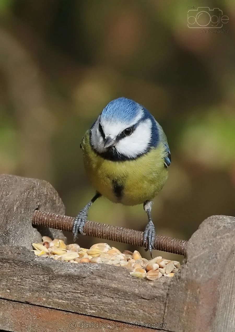 20260314 144510 Silverburn 0378.jpg