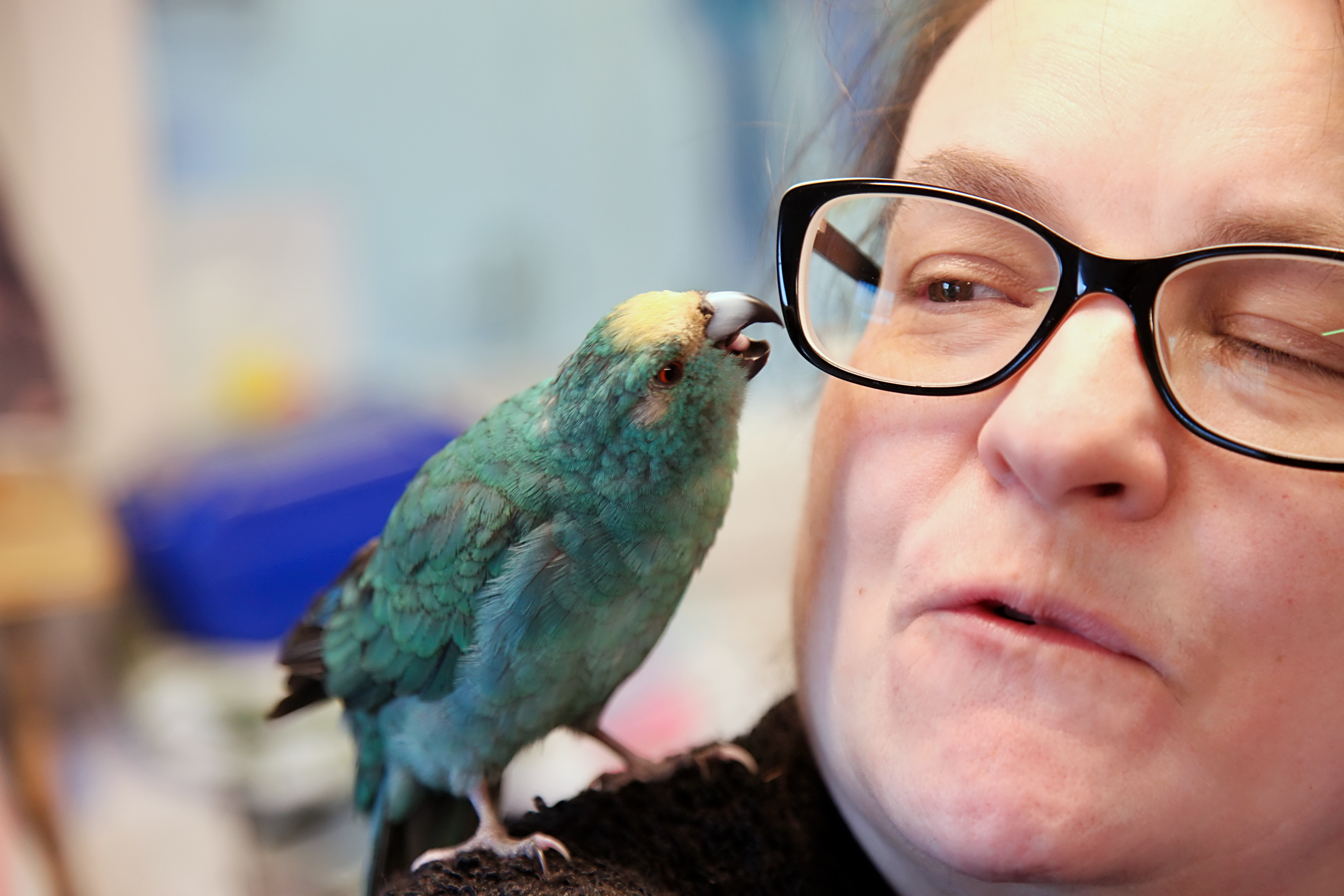 20260212 121641 IMG_0212.png