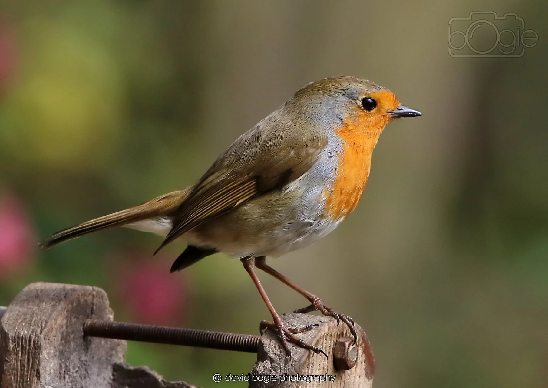 20260326 121423 Silverburn 0469.jpg