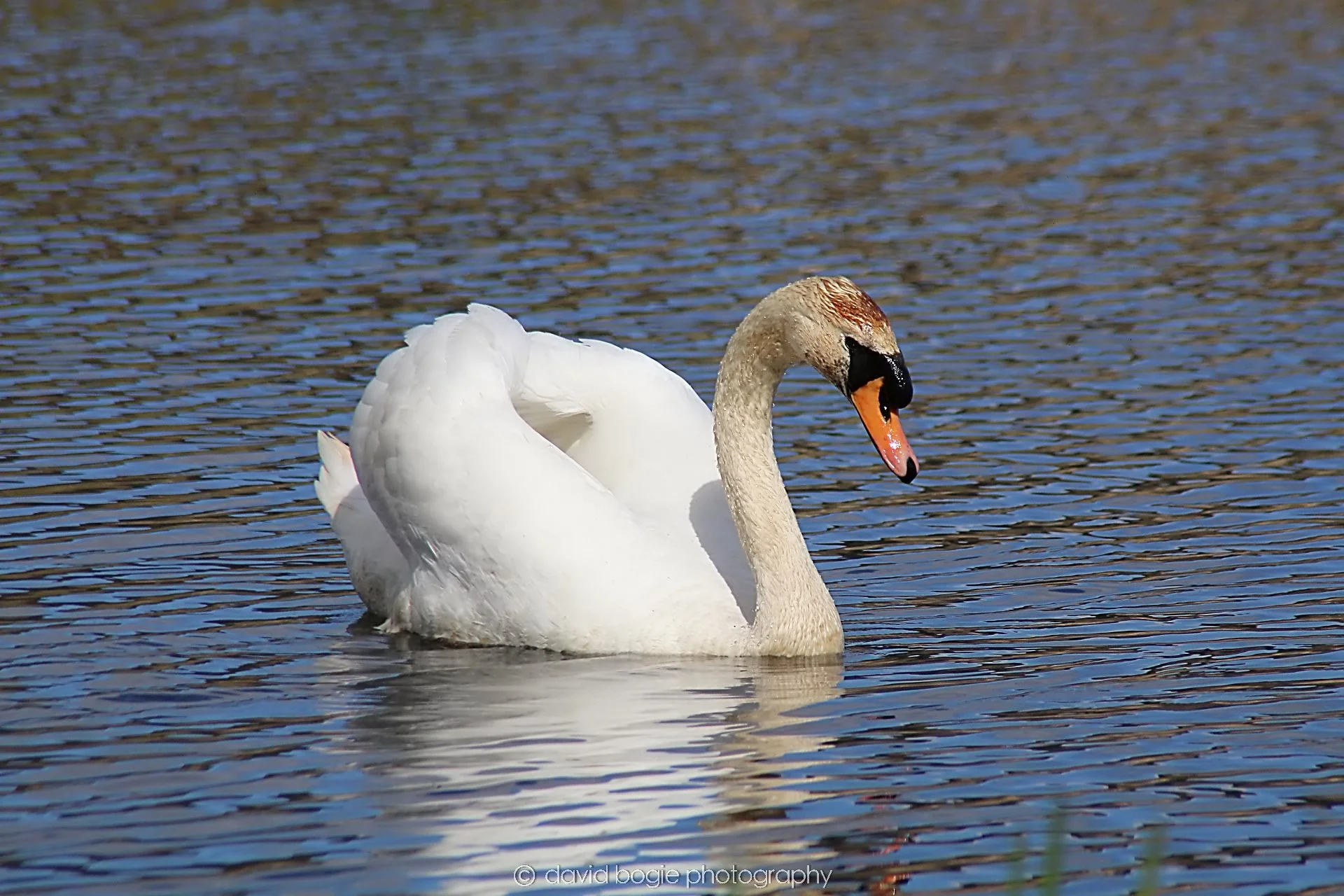 YEAR20230410 Lochore 00147.jpg