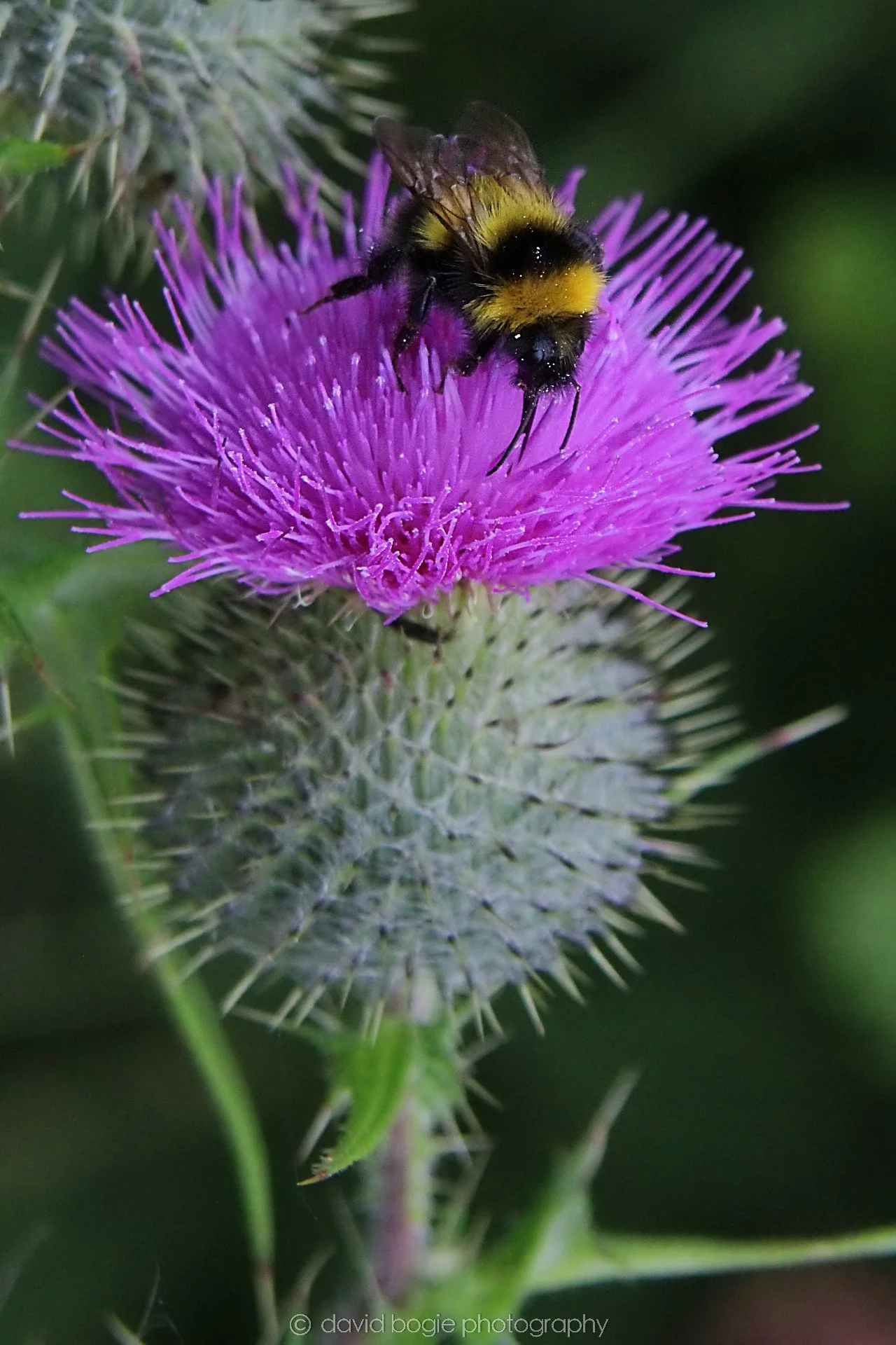 20210729 Lochore 14.jpg