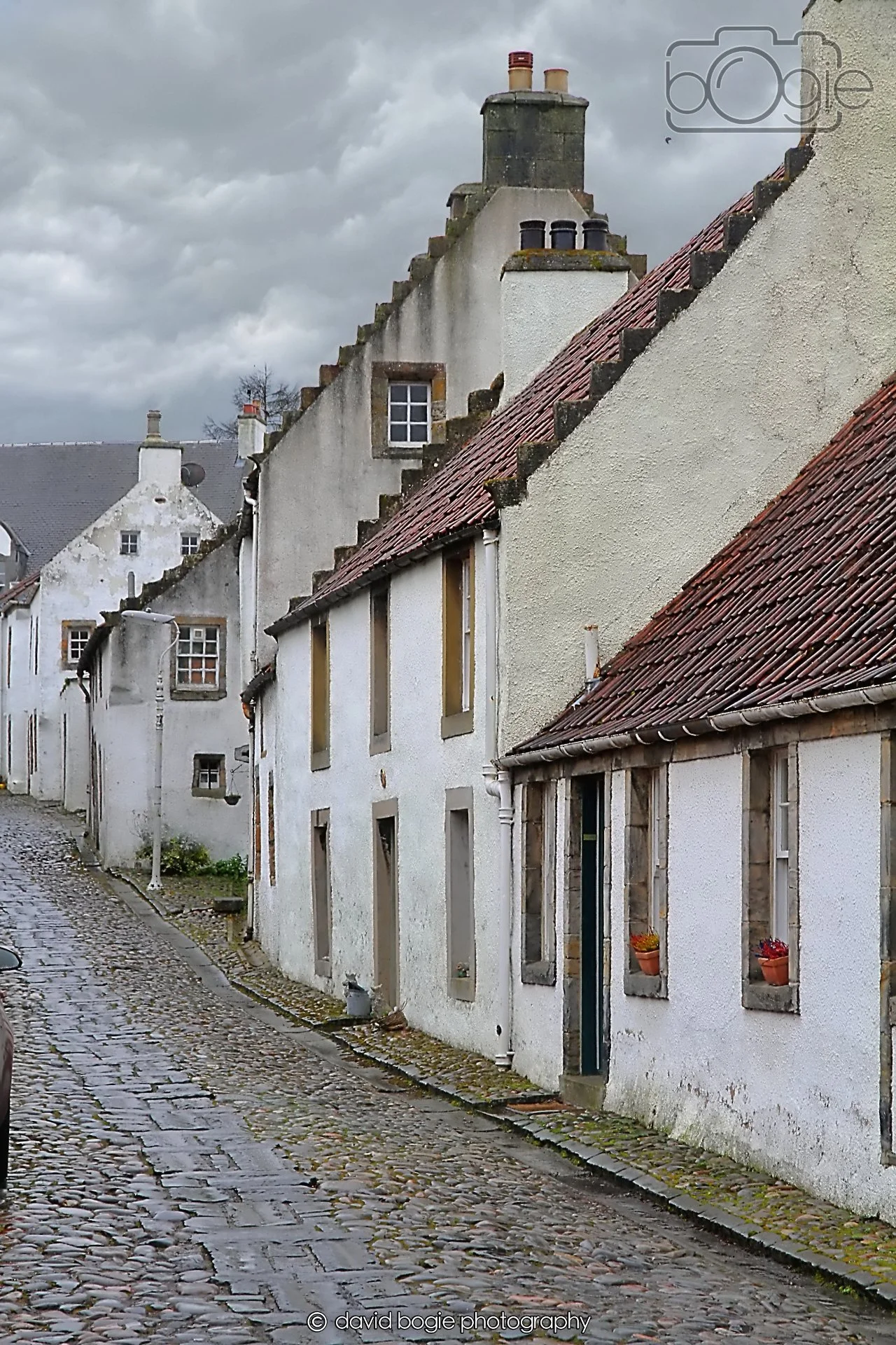 20260401 130511 Culross 0236.jpg