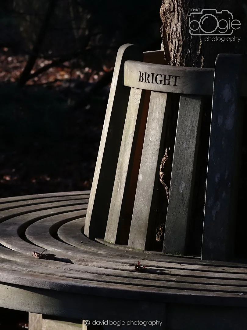 20251231 125112 Silverburn 0023.JPG