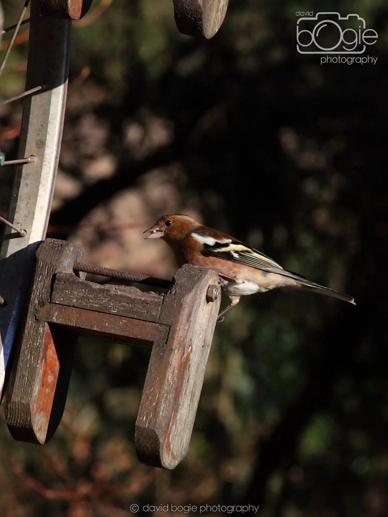 20251125 140109 Silverburn 0310.JPG