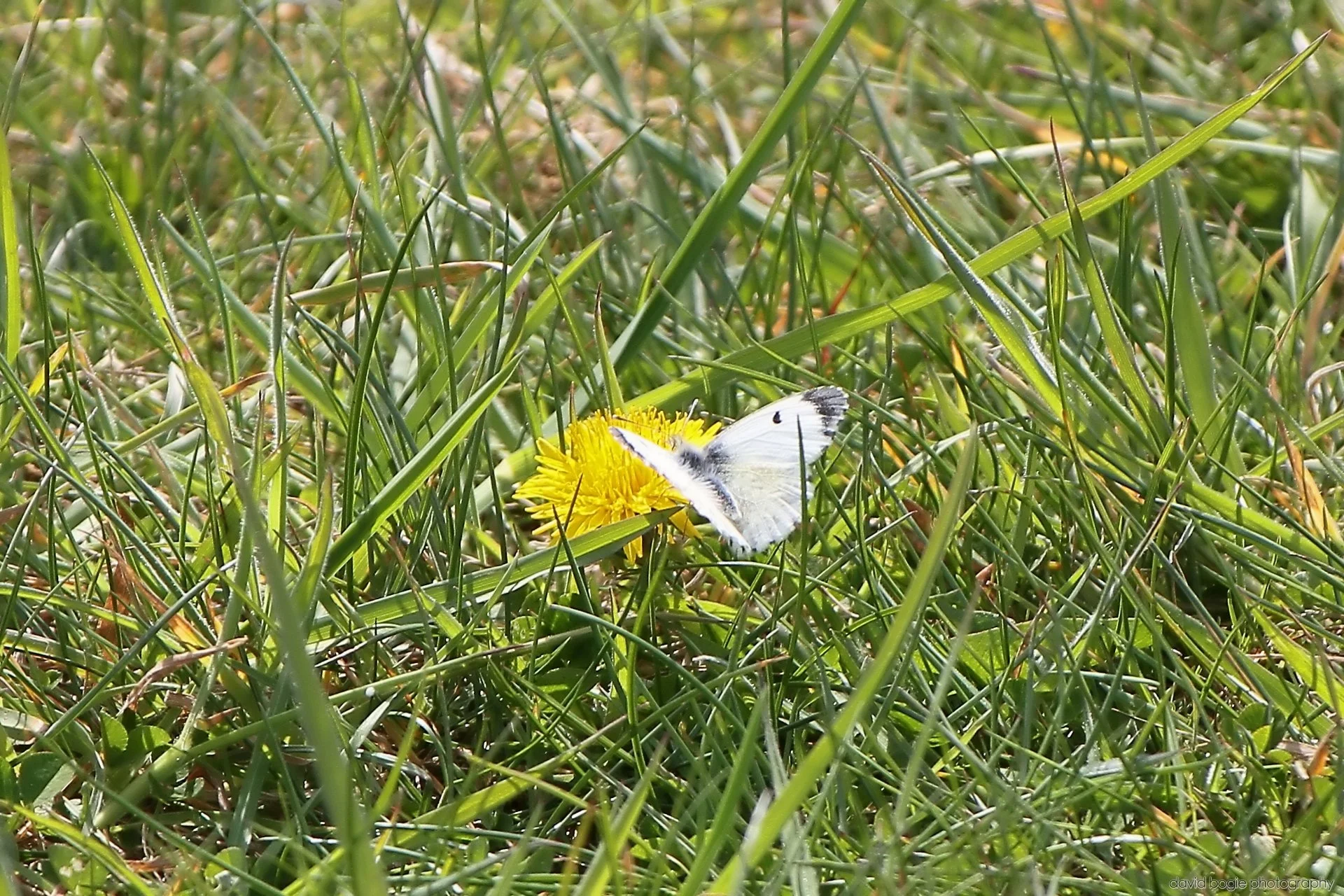 20260426 125539 Bus Bundle 0146.jpg