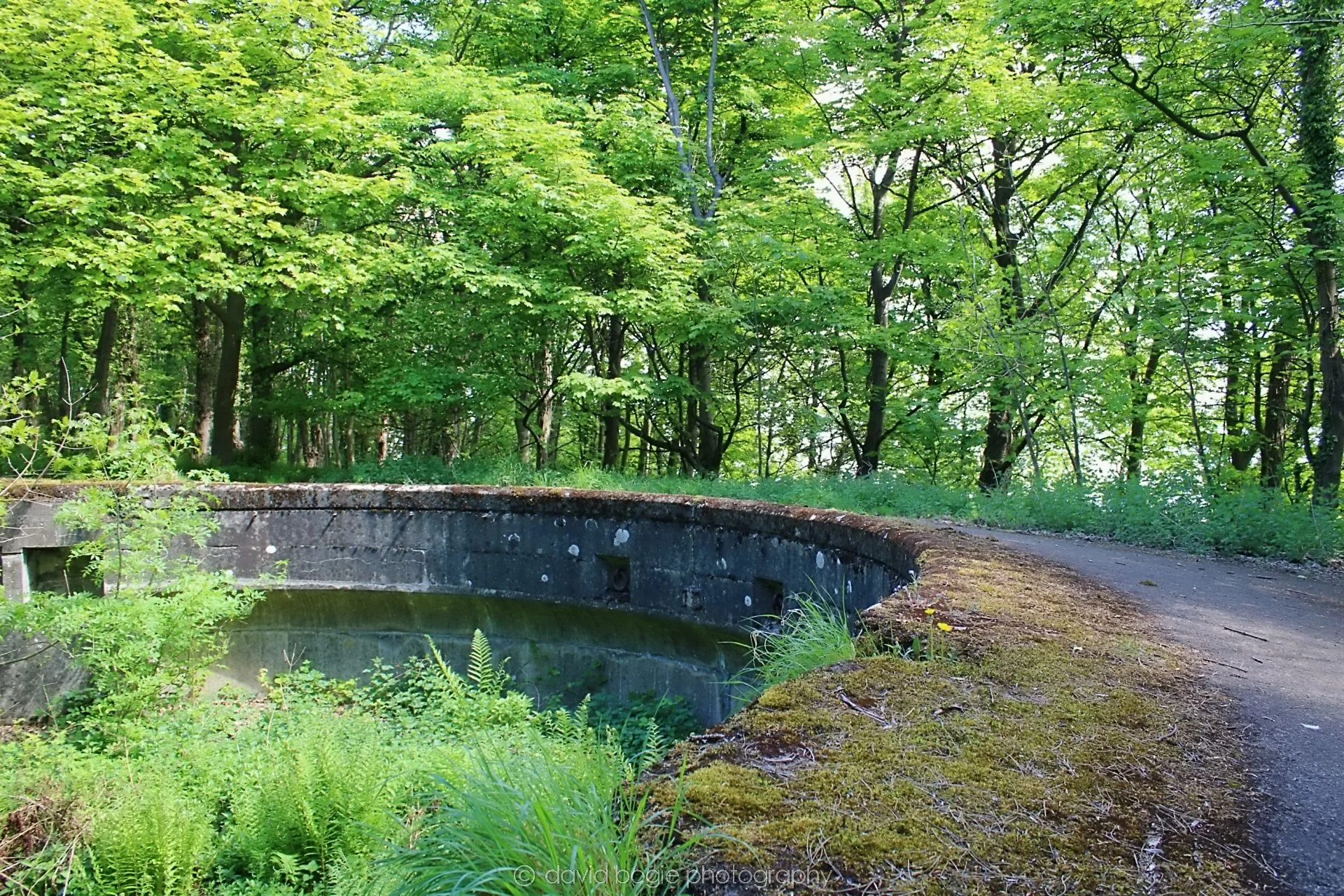 20190521 123246 Braefoot & Charles Hill 0033.jpg
