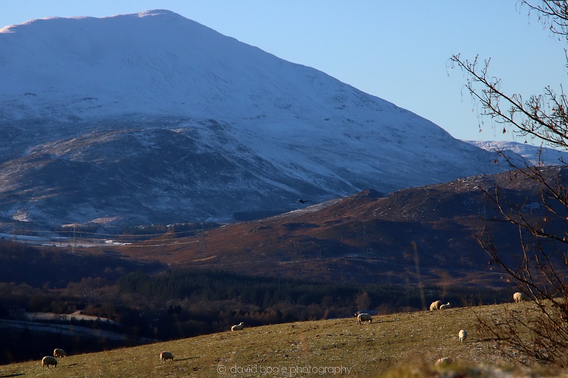 YEAR20221215 00019 Aberfeldy.jpg
