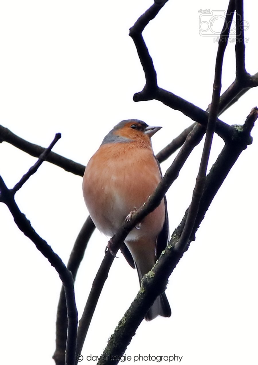 20260306 091415 Dunnikier 0076.jpg