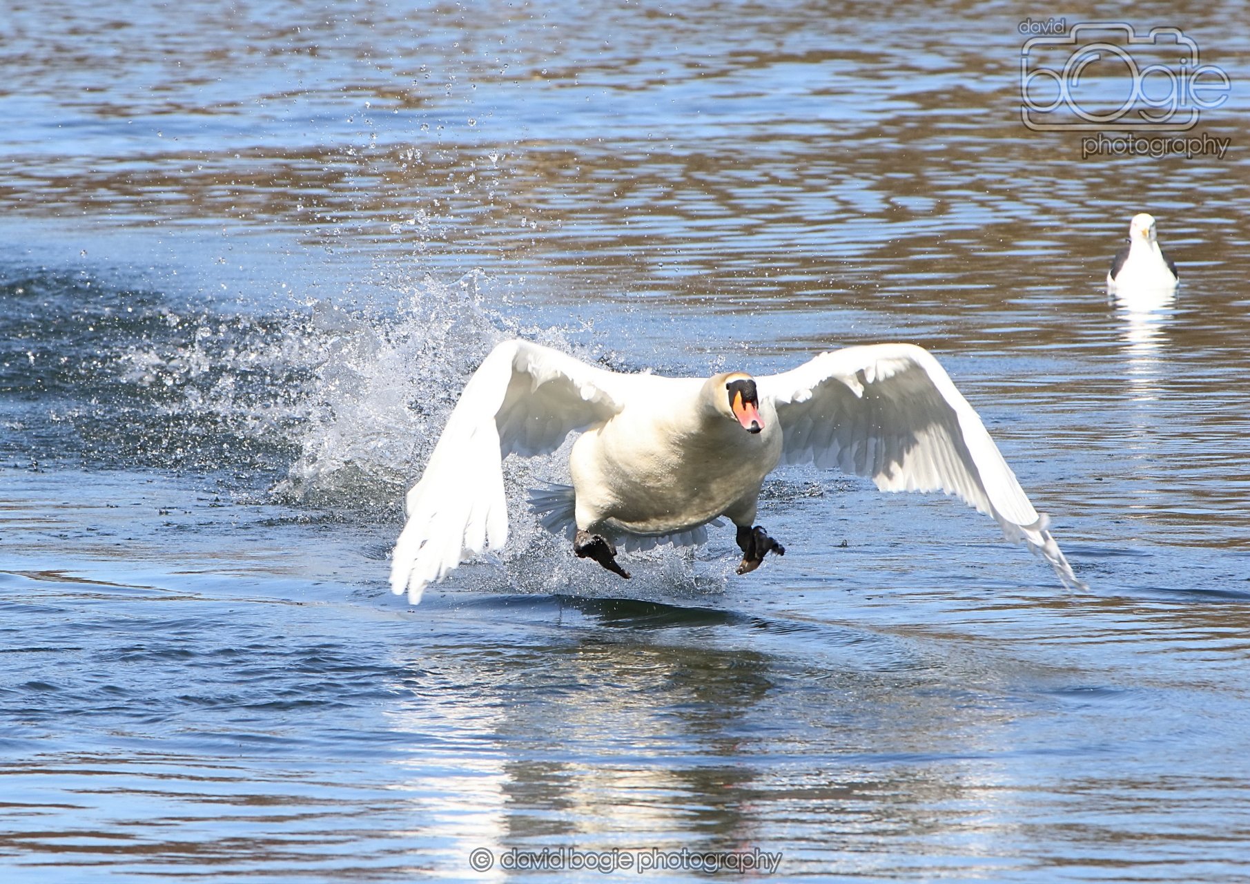 20260319 113010 Beveridge Park 0059.jpg