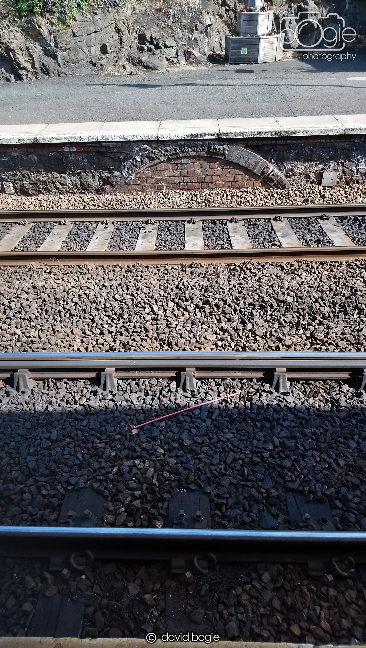 20180725 095541 Burntisland 0013.JPG