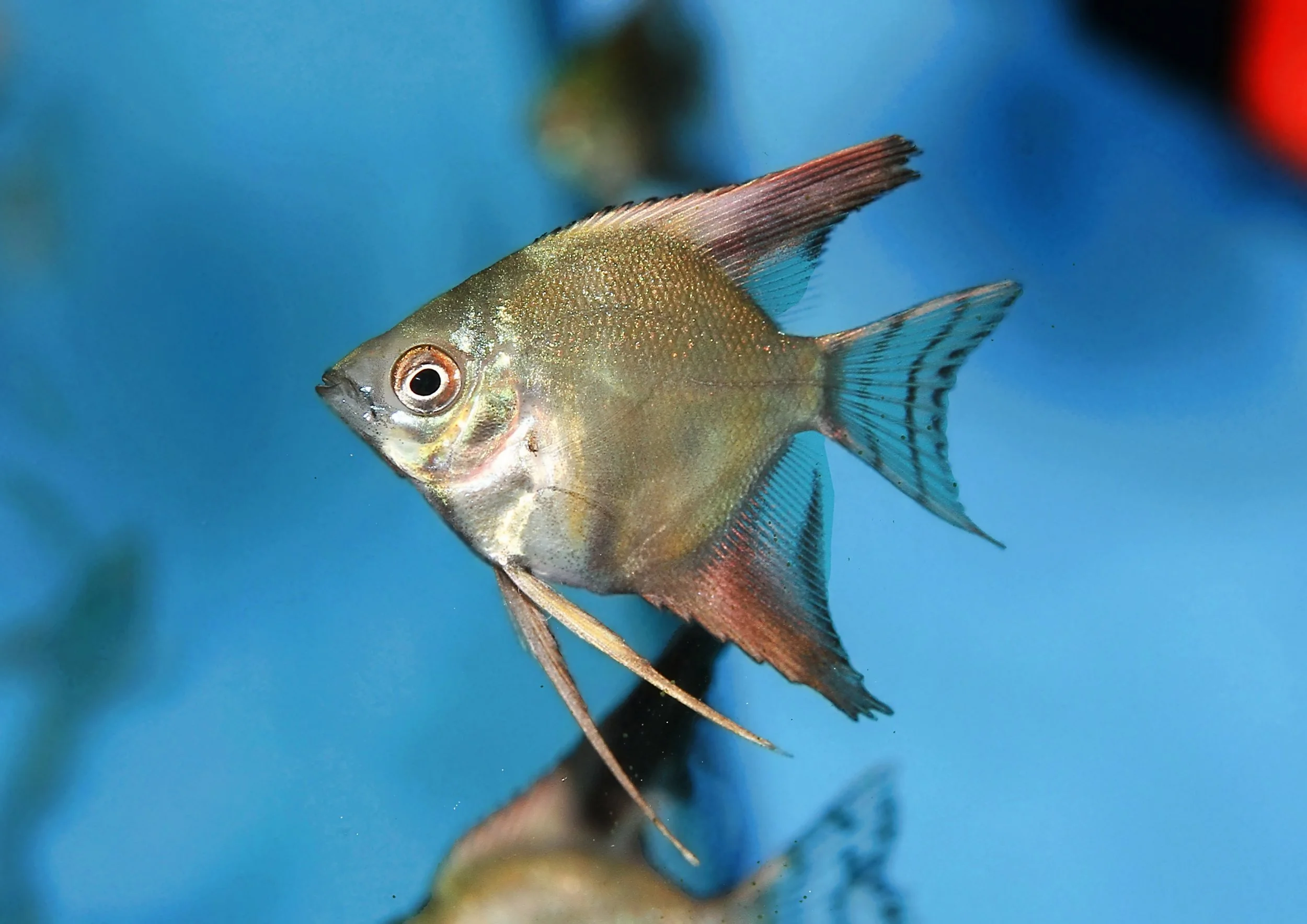 20260403 141432 IMG_0151.jpg